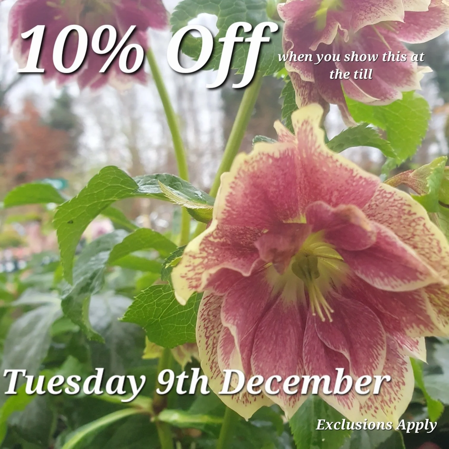 Just show us this Picture at the till to redeem your discount.

Come back here for your daily vouchers.

Offer Applies to most items, but not Animal Products, Gift Cards &amp; Clearance Lines