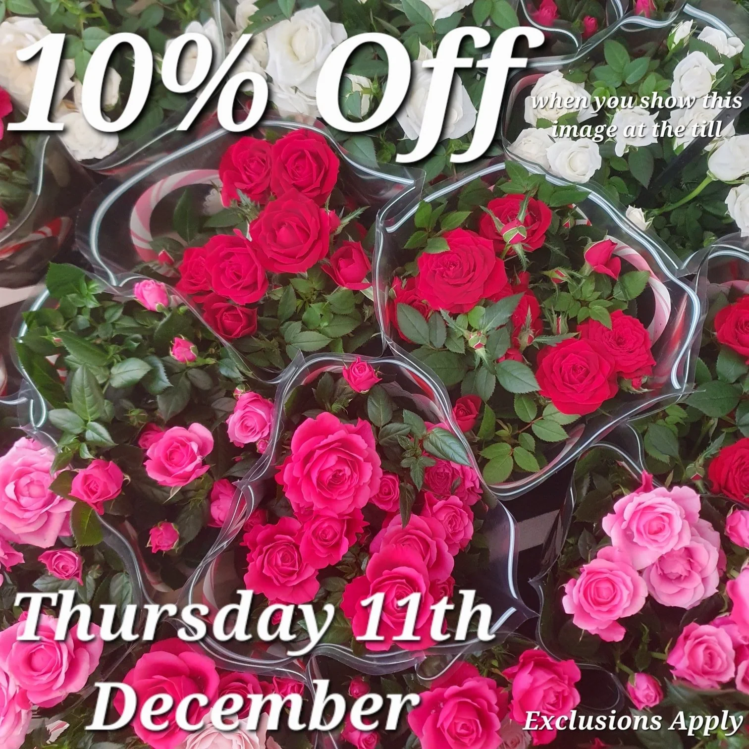 Just show us this Picture at the till to redeem your discount.

Come back here for your daily vouchers.

Offer Applies to most items, but not Animal Products, Gift Cards &amp; Clearance Lines