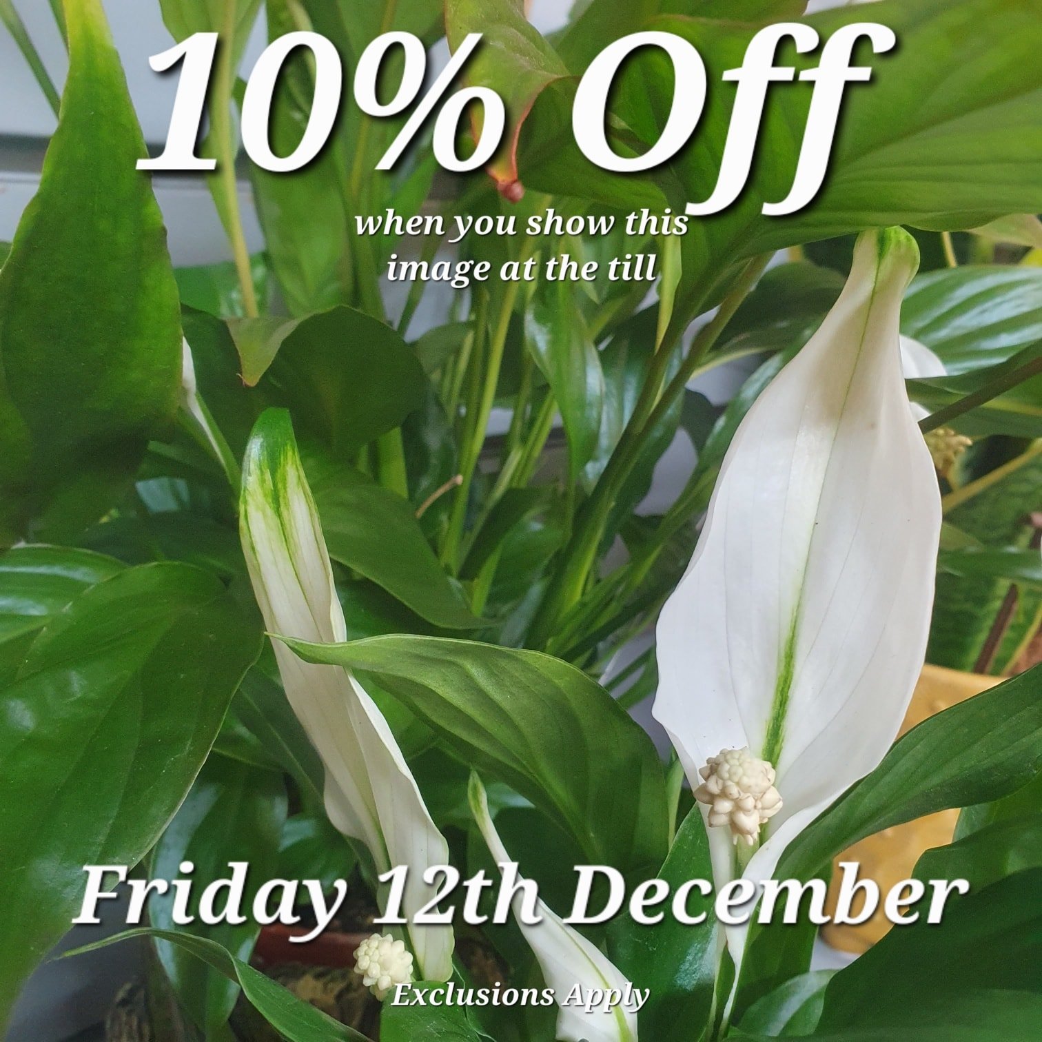 Just show us this Picture at the till to redeem your discount.

Come back here for your daily vouchers.

Offer Applies to most items, but not Animal Products, Gift Cards &amp; Clearance Lines