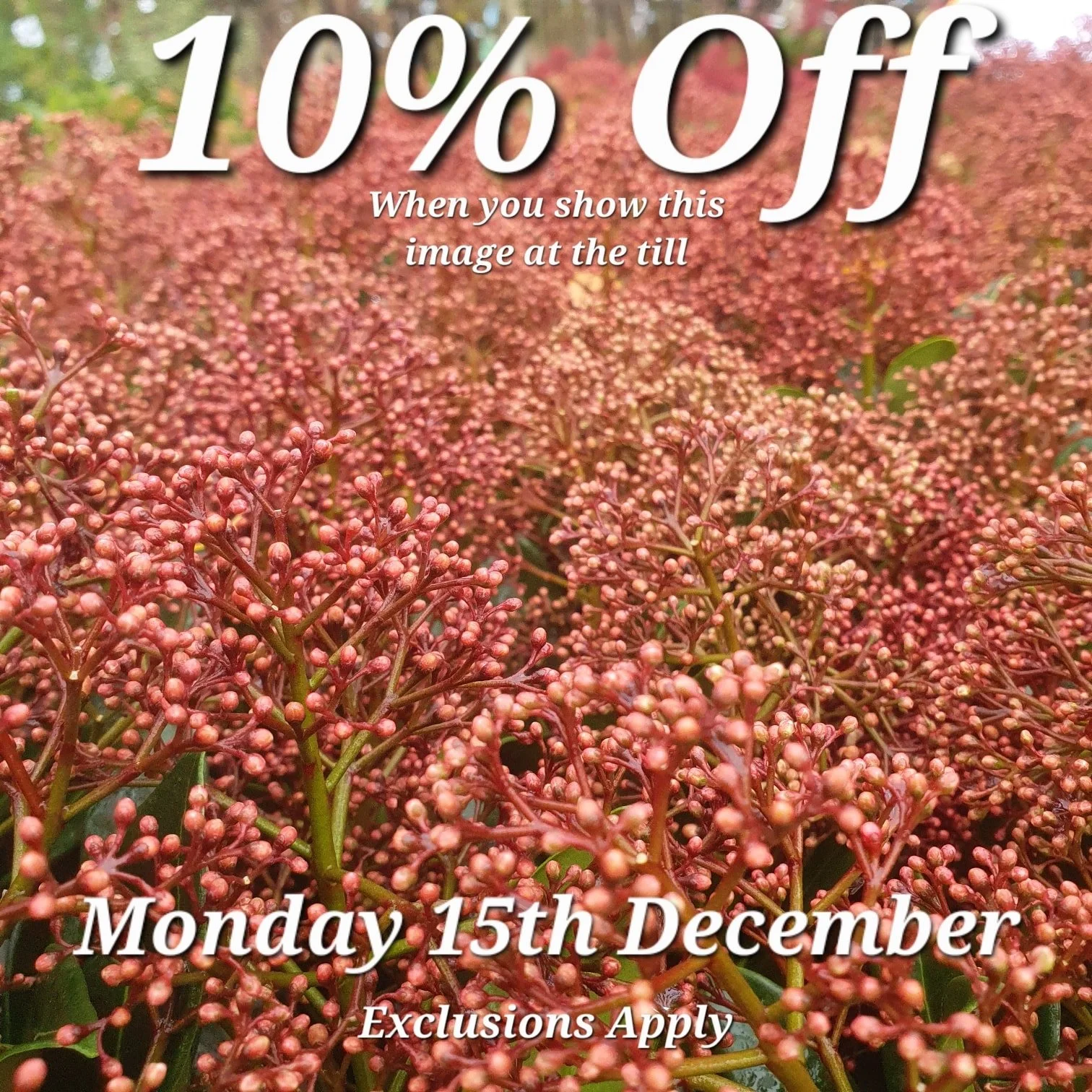 Just show us this Picture at the till to redeem your discount.

Come back here for your daily vouchers.

Offer Applies to most items, but not Animal Products, Gift Cards &amp; Clearance Lines