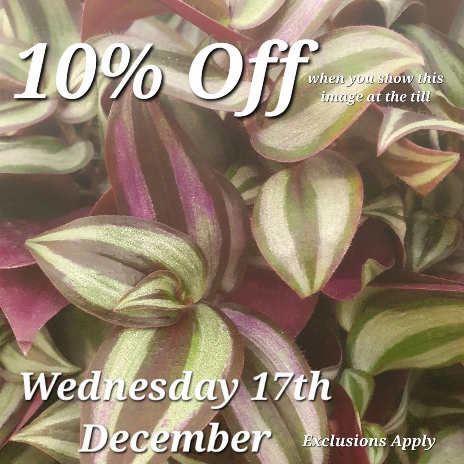 Just show us this Picture at the till to redeem your discount.

Come back here for your daily vouchers.

Offer Applies to most items, but not Animal Products, Gift Cards &amp; Clearance Lines