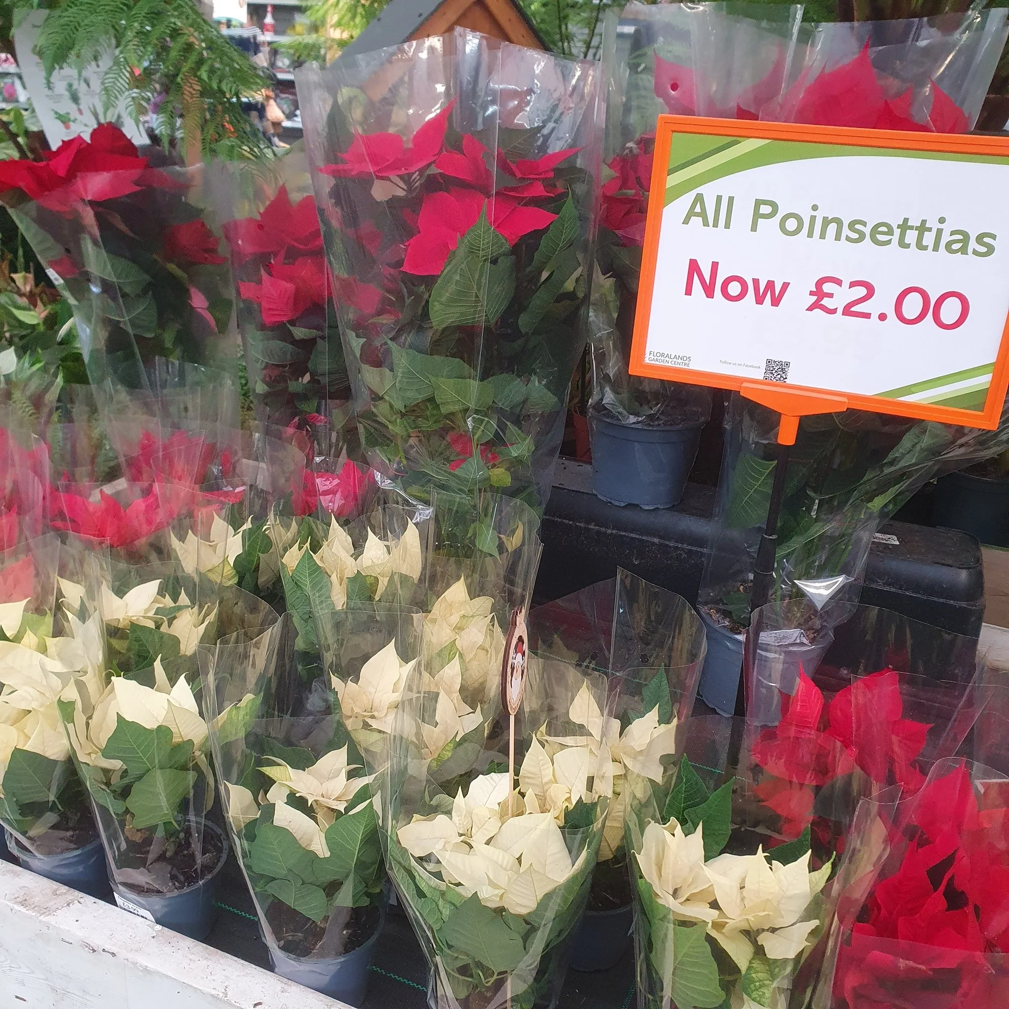 Not long till the big day!

If you still need some essential Christmas items we have some excellent offers now on!!