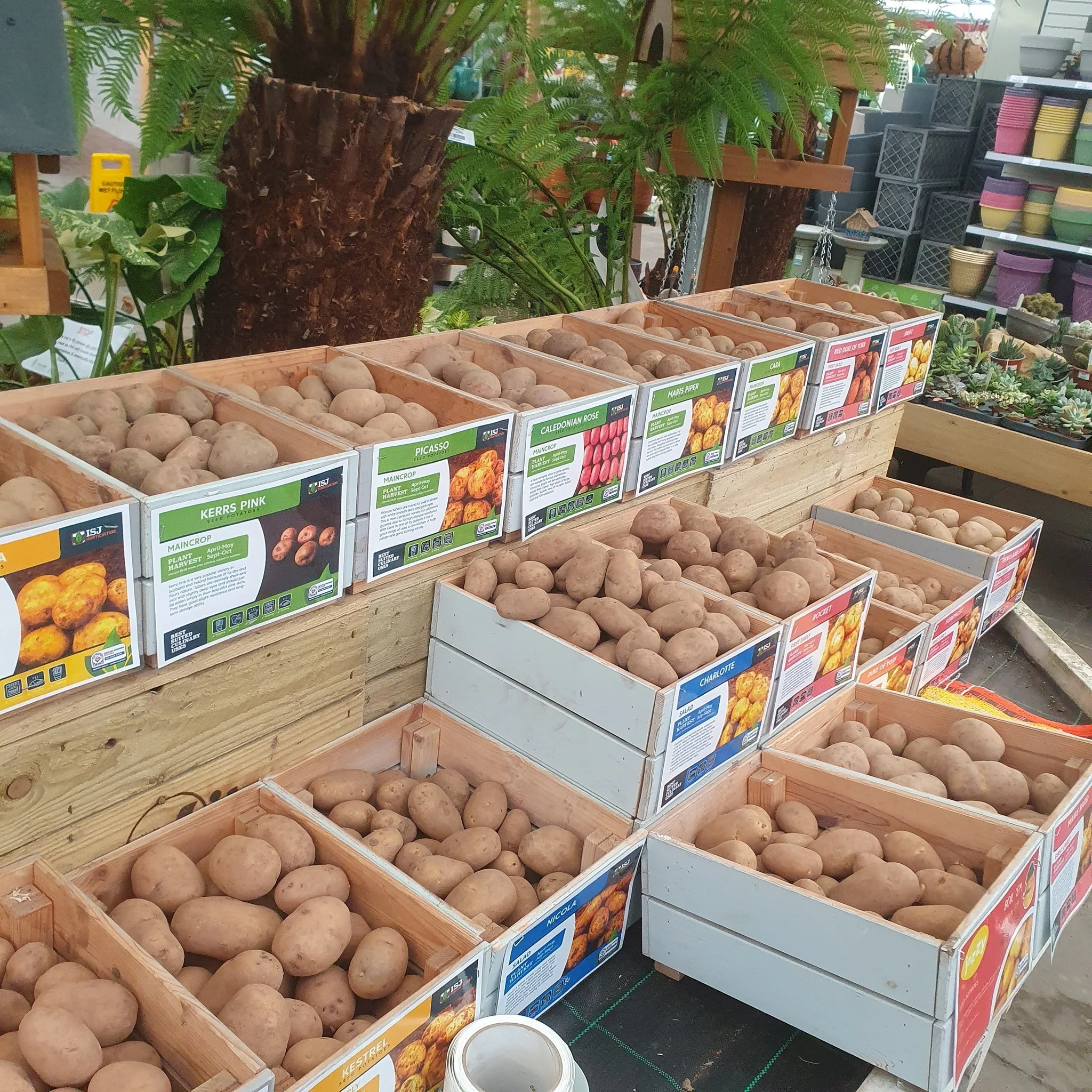 Seed Potatoes have arrived!!

We also have a wide range of veg and flower seeds. Nows the time to consider growing your own!

Be prepared for this year's Harvest!! 🥔🥕🍅
