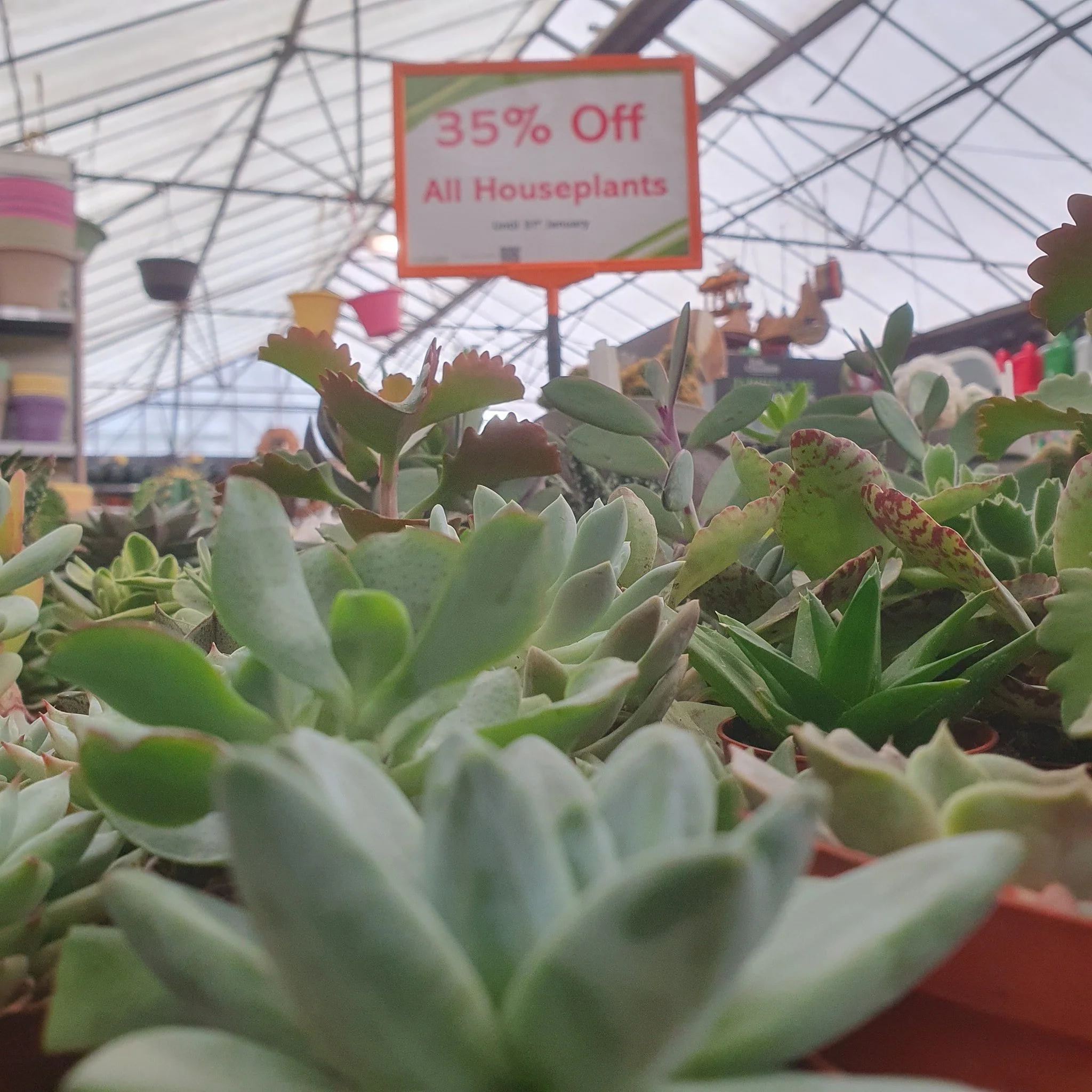Too Cold to go outside?  Bring your Love of plants in!

We have a fantastic 35% Off Houseplants, until the end of January! Don't Miss Out!