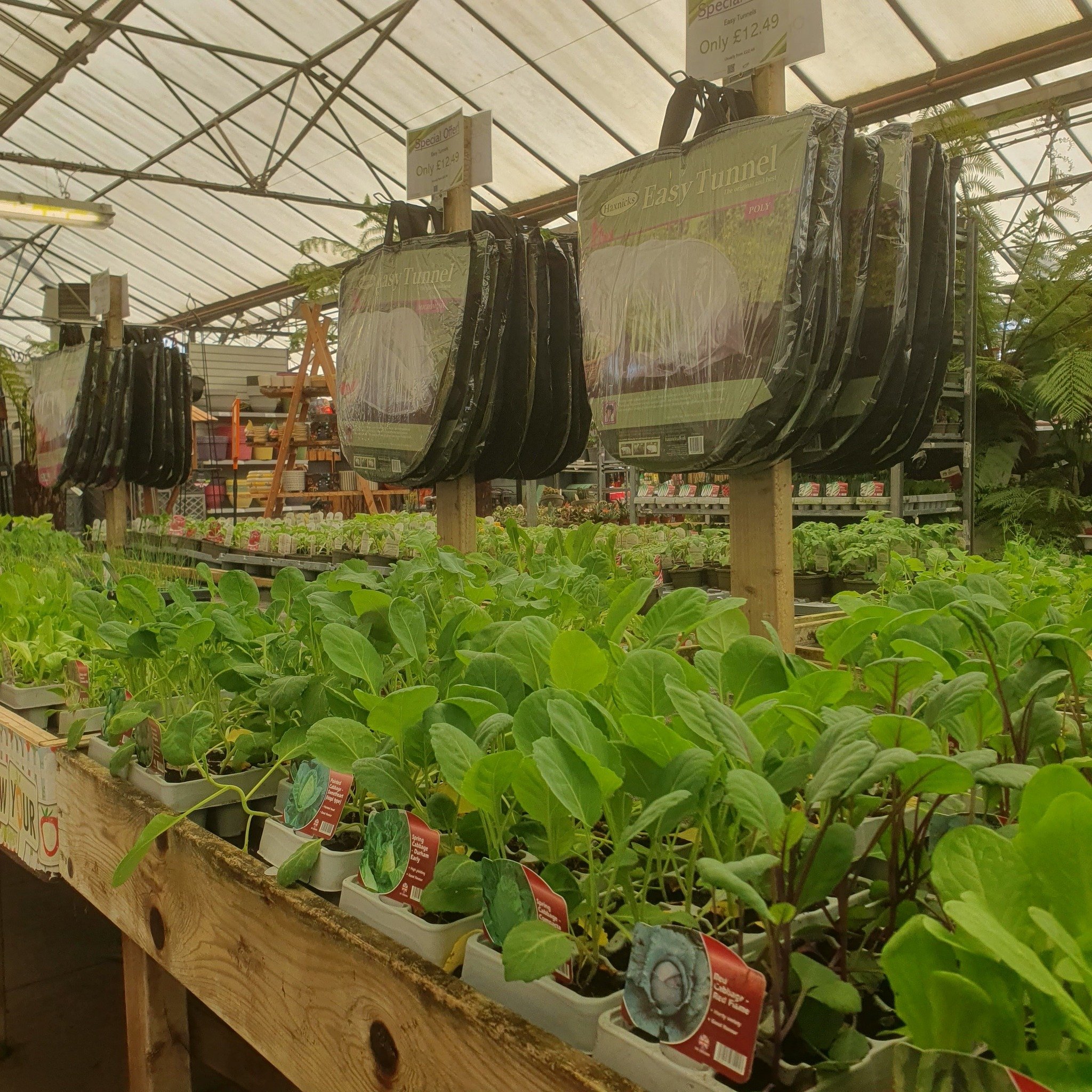 We've got plenty of Veg Pots and Packs IN STOCK NOW!

And plenty more on the way, shop our range today and get ready for what hopes to be a good season of growing. 🍅 🥒