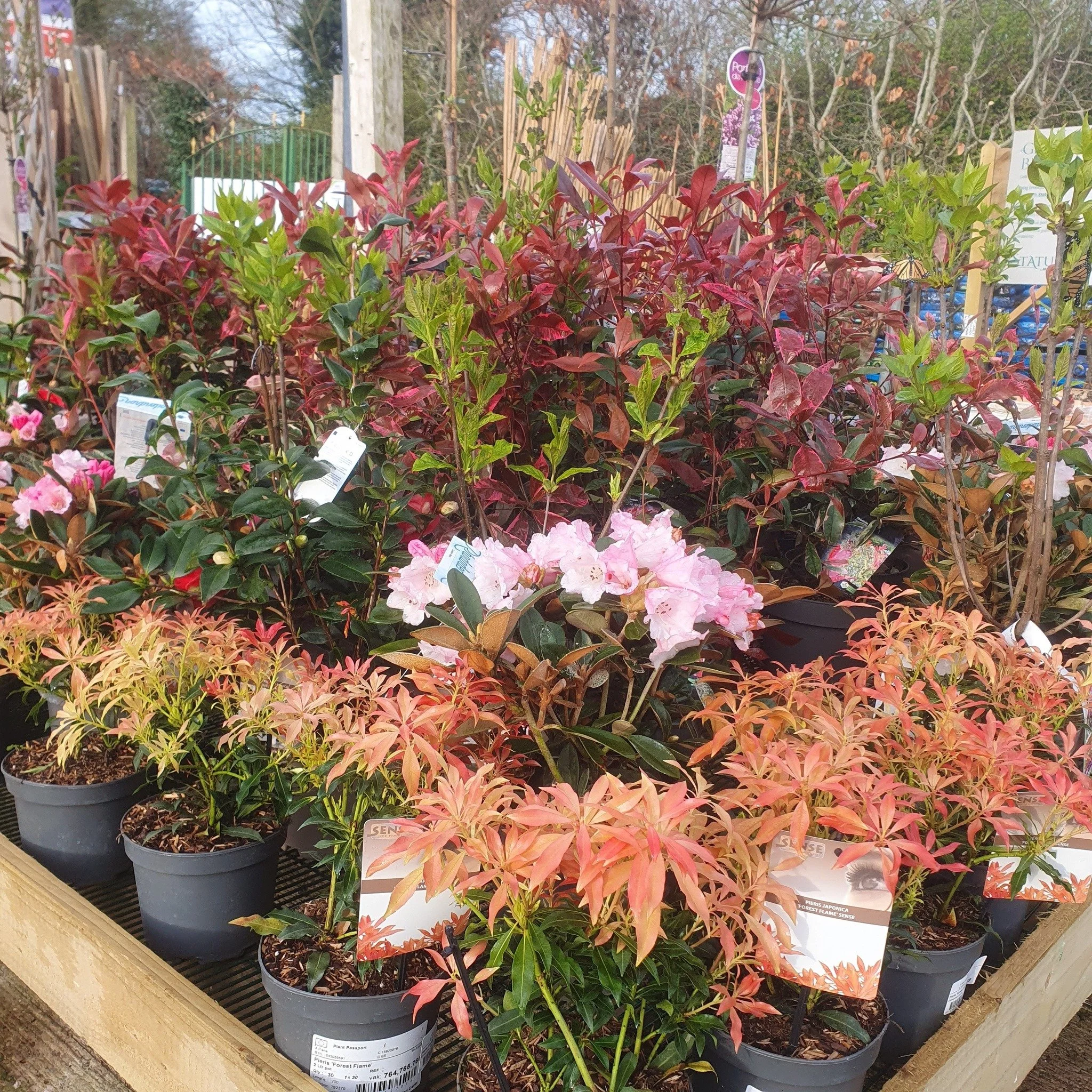 It's a beautiful bank holiday morning and we are delighted to be here! Plenty of colour to pick up and enjoy in the dazzling sunshine 🌞