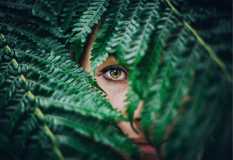 Eye in leaves