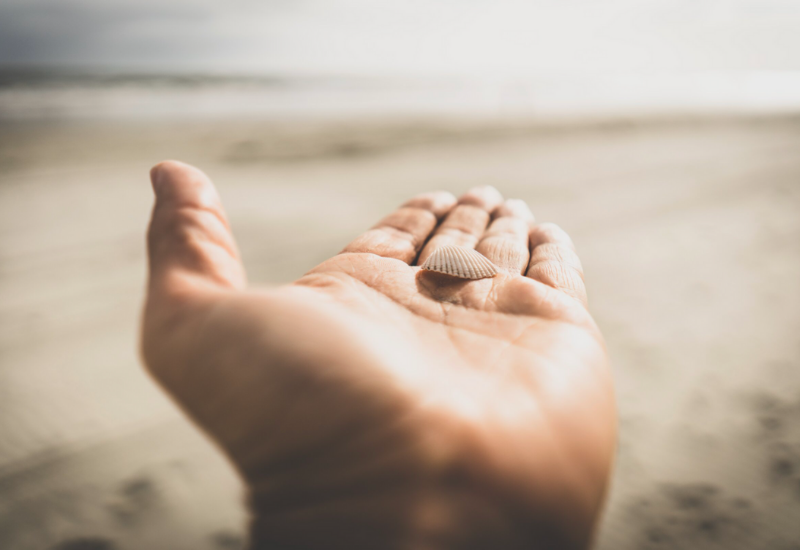 Hand with seashell