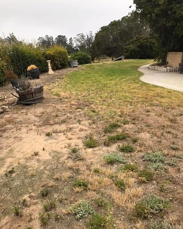 We also offer lawn services!! 🍃 Hit us up for free quote 📞