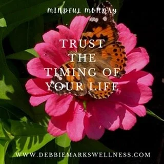 You are exactly where you are supposed to be. Trust that everything you want will come when you are ready to receive it.
🦋 
🌺 
I&rsquo;m starting a new series of posts called &lsquo;Mindful Monday.&rsquo; Every week I&rsquo;ll post words of inspira