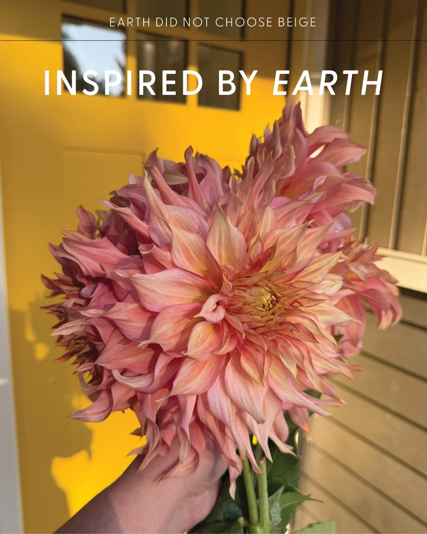 Happy Earth Day! 🌍 A reminder that the earth did NOT choose beige.

Look outside. Like, actually look.

The Pacific Northwest alone has given us: the deep blue-green of Puget Sound, the burnt amber of a forest floor in October, the electric green of