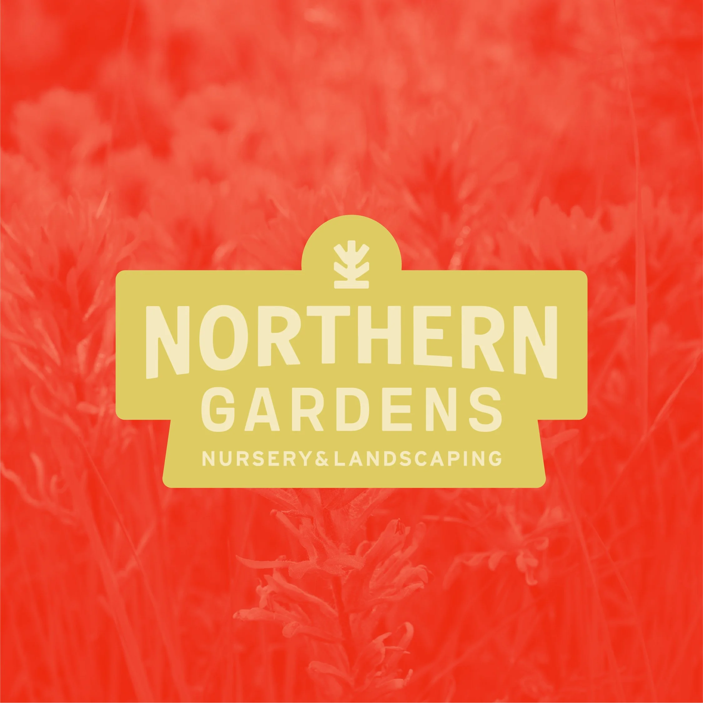 Northern Gardnes