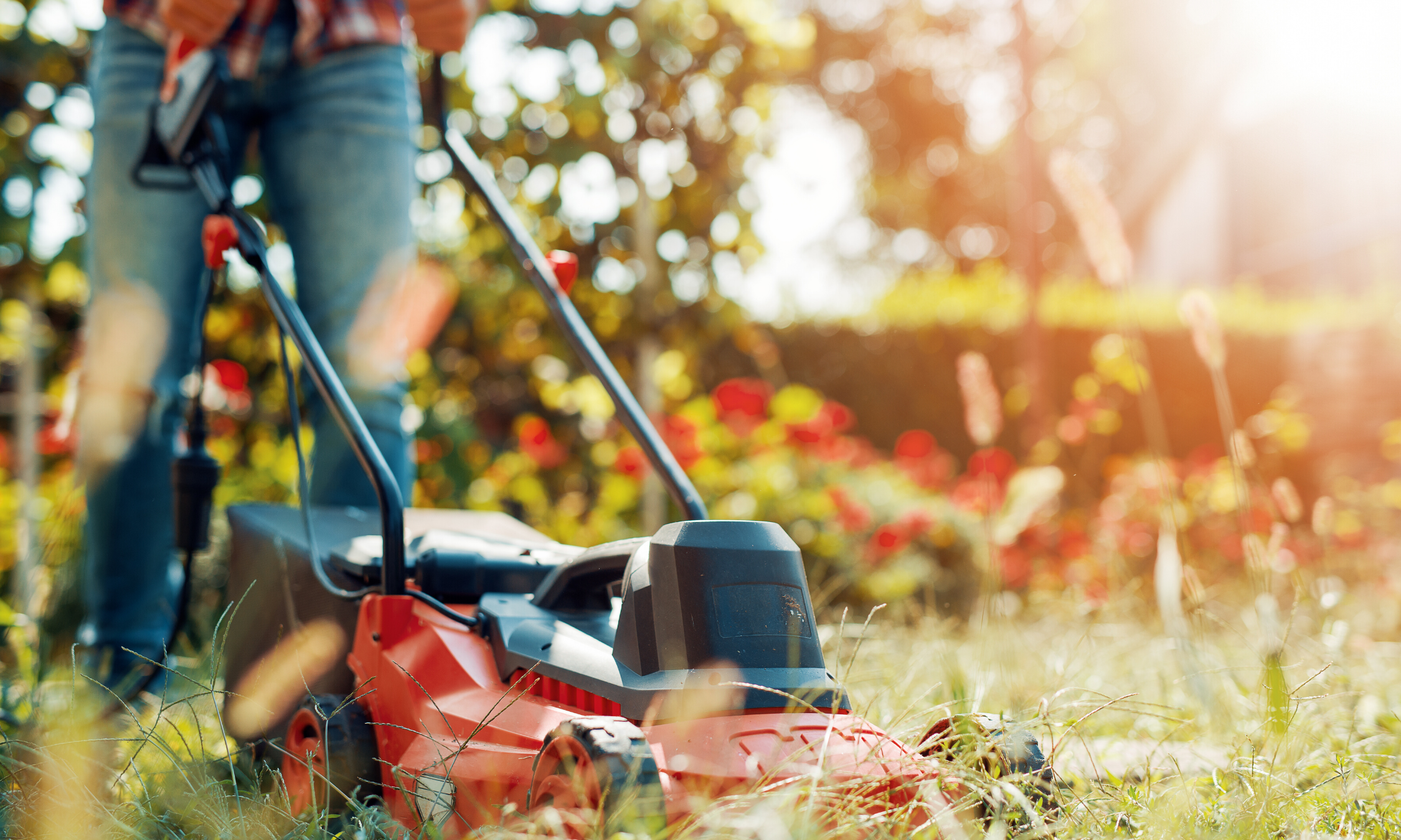 Copy of Copy of Copy of Untitled.png