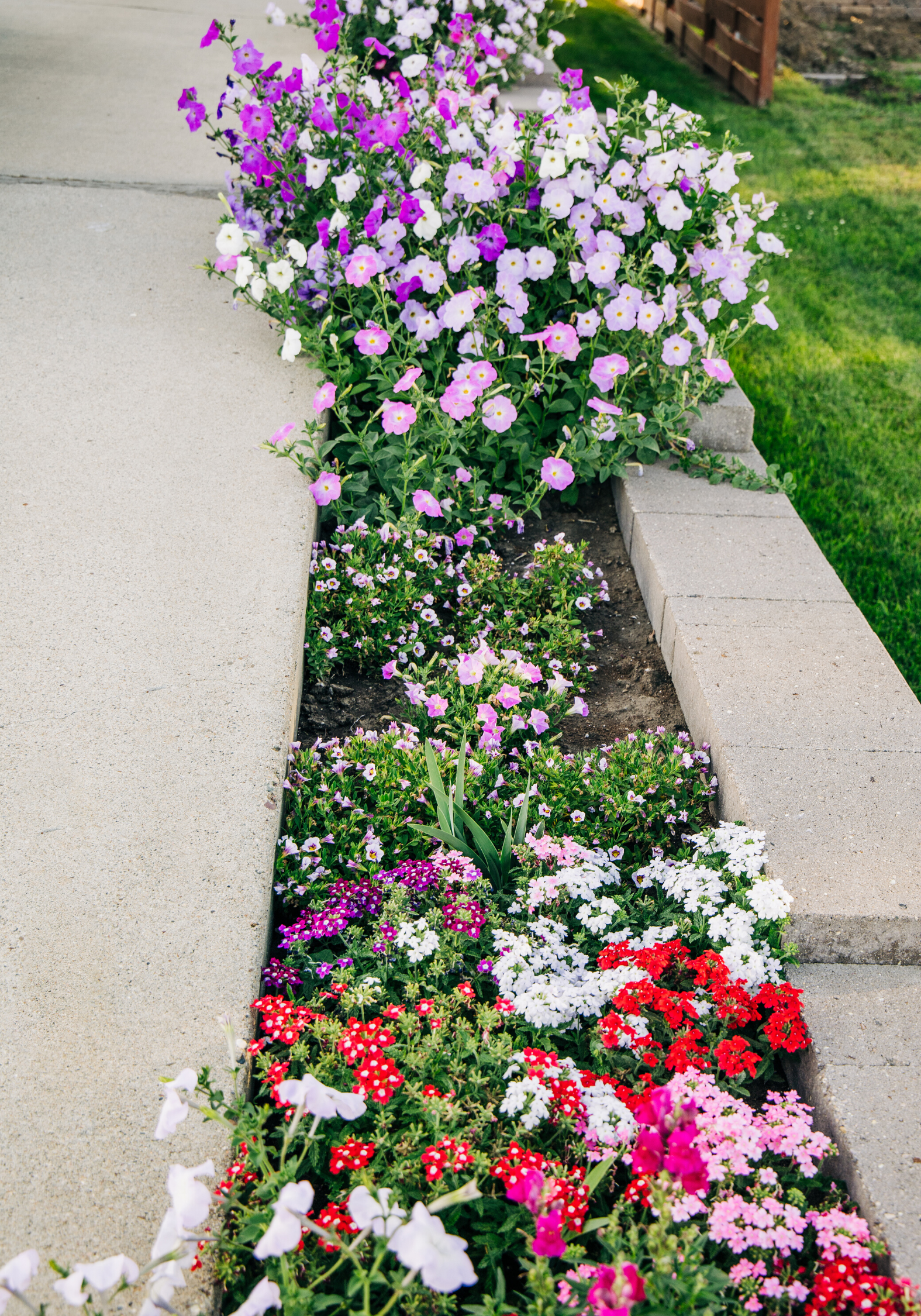 Copy of Copy of Copy of Copy of Untitled (2).png