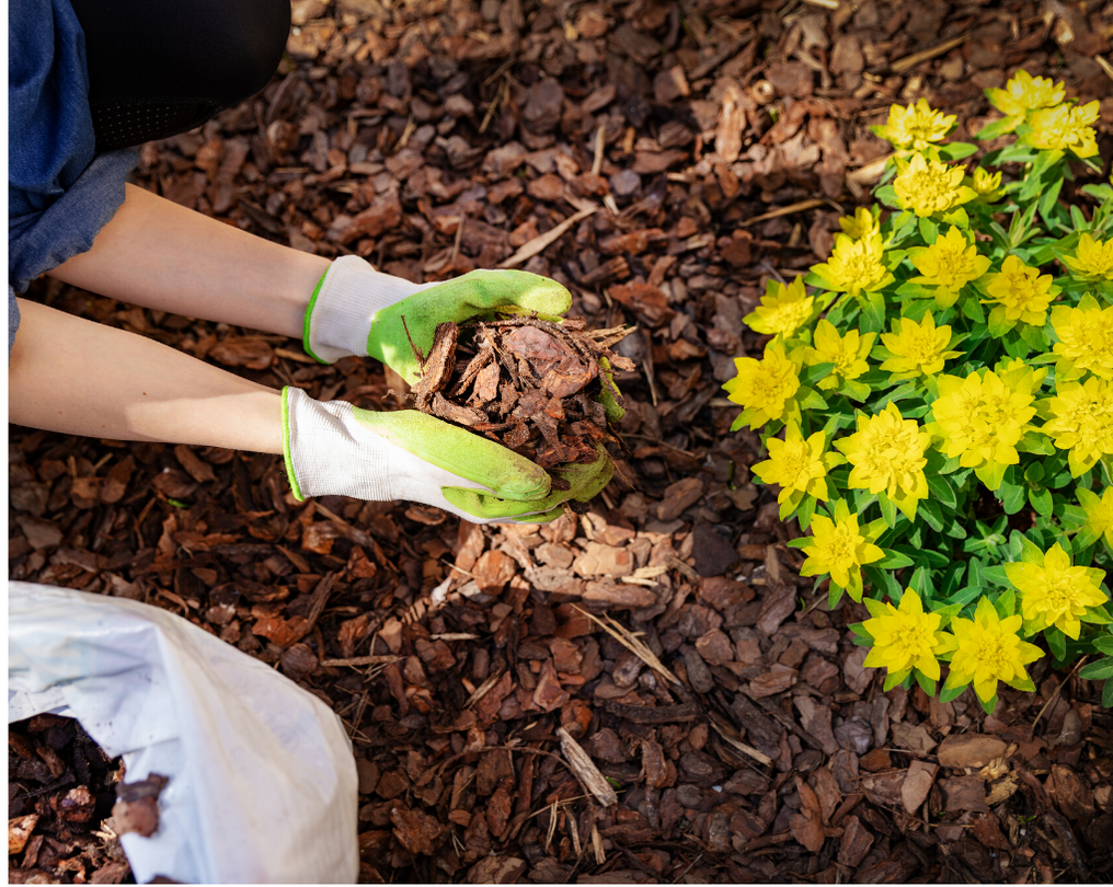 Copy of Copy of Copy of Copy of Copy of Copy of Copy of Copy of Copy of Untitled (7).png