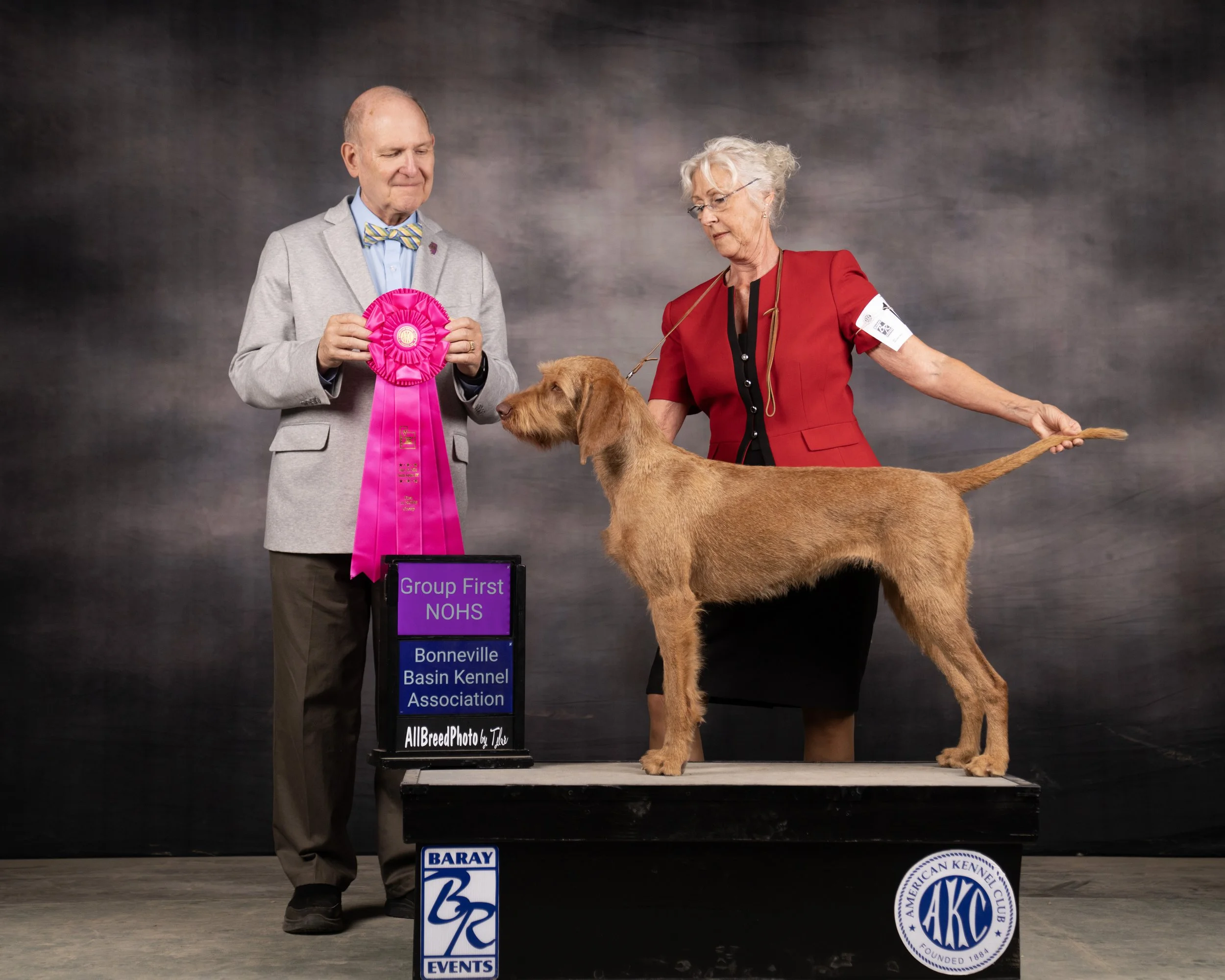 WVizG11104089 copy.jpg