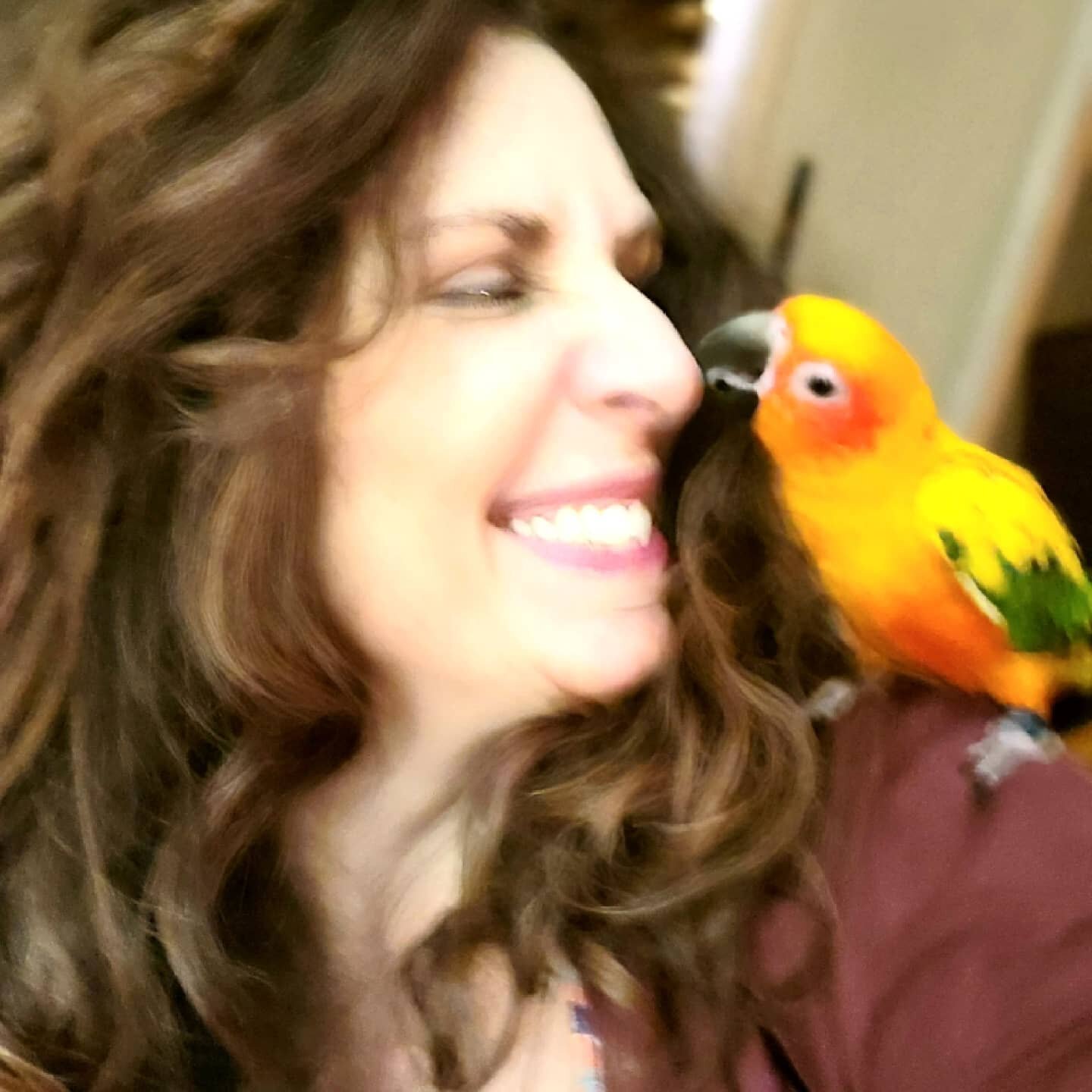 Chilling with my buddy. 

#sunday #conure #relax