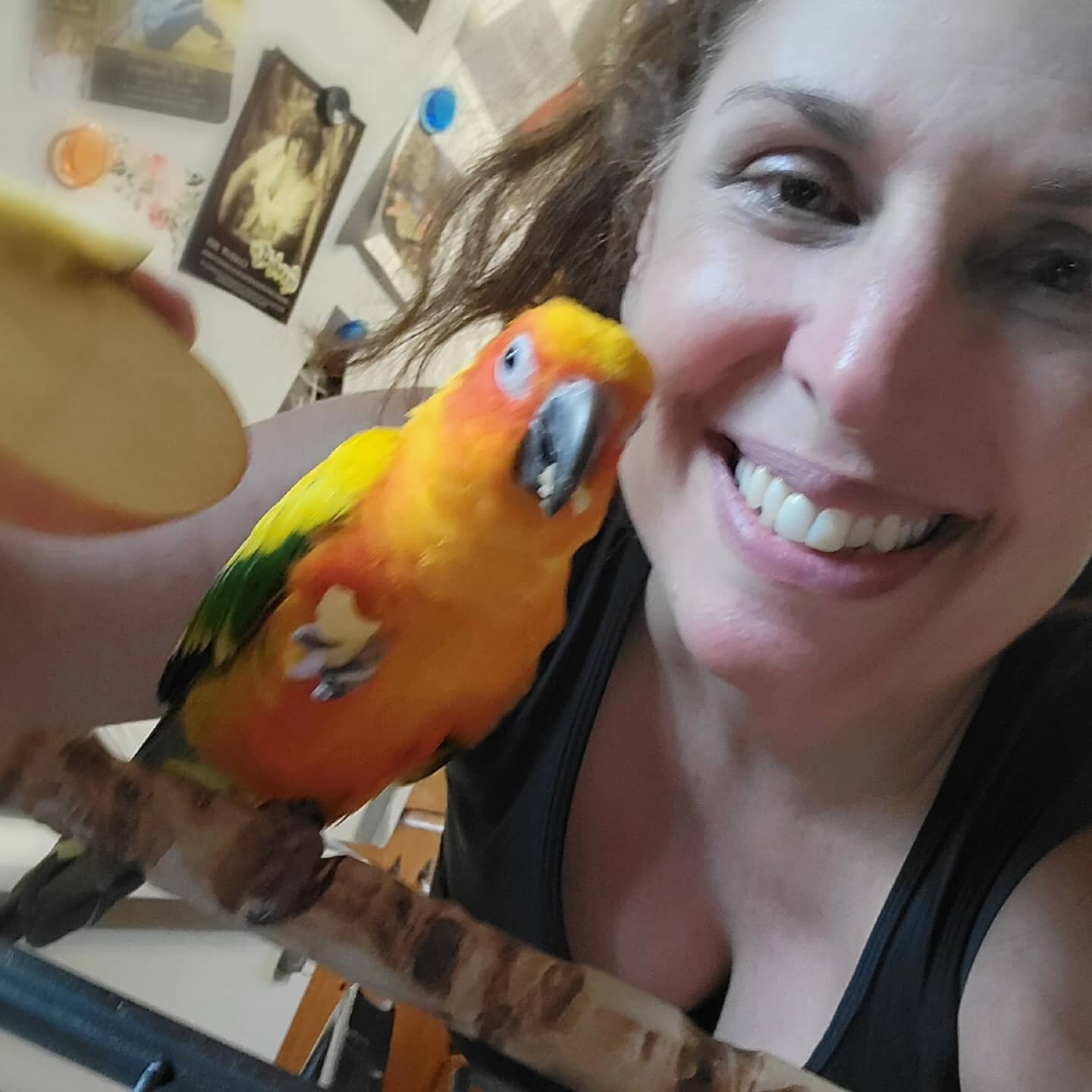 Eros and I are enjoying a mid-afternoon pick me up of apple slices and sunflower seeds. Apples offer bet carotene, good for your teeth and fight cancer cells. Sunflower seeds are a good source of protein,  antioxidants and fight inflammation.  Make m