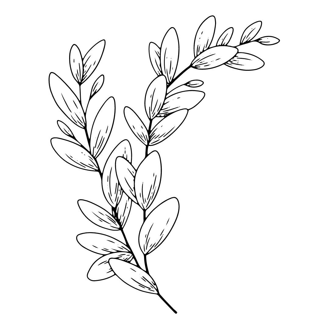 Herbal Consultation