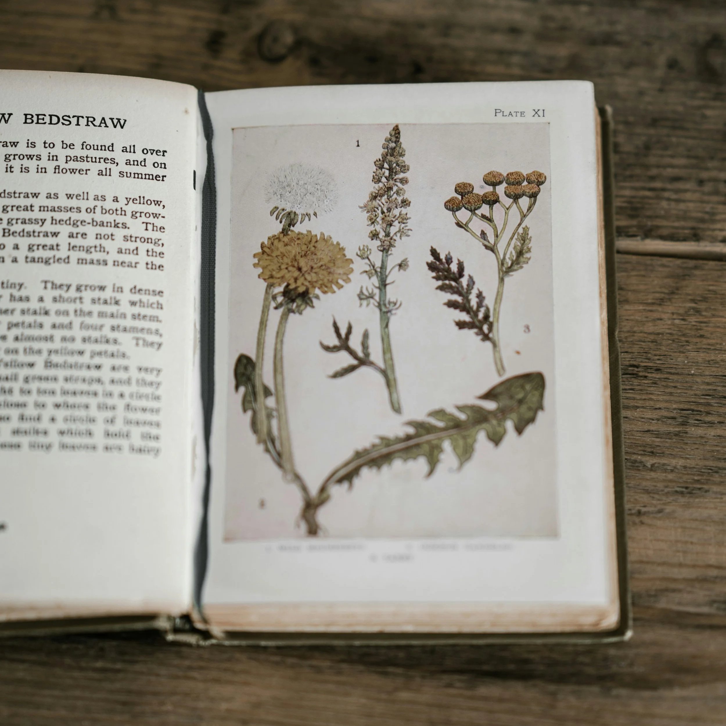 Why is it so hard to find herbs to help with hormonal acne?