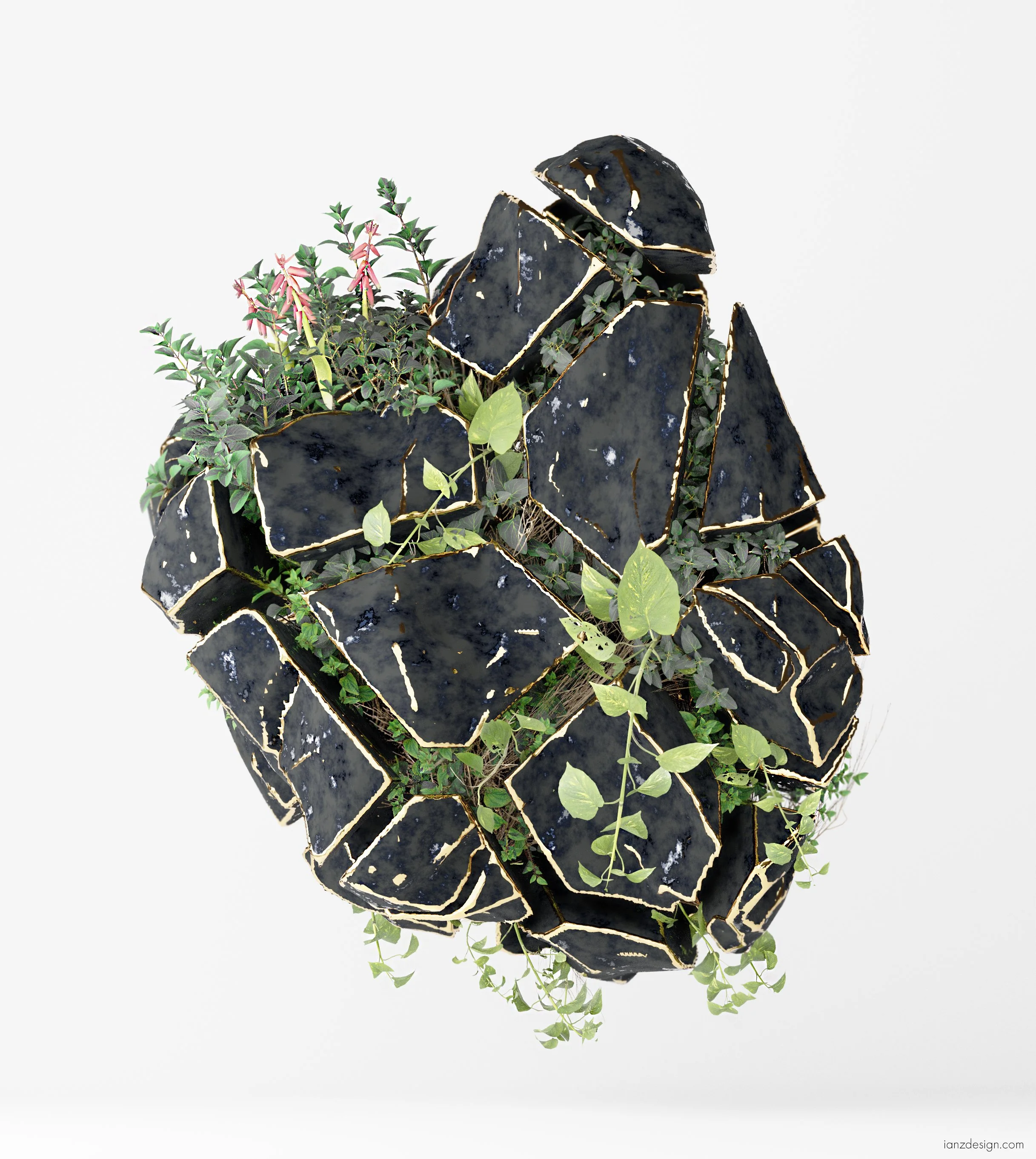 plant exlpoded rock_watermarkwebsite.jpg