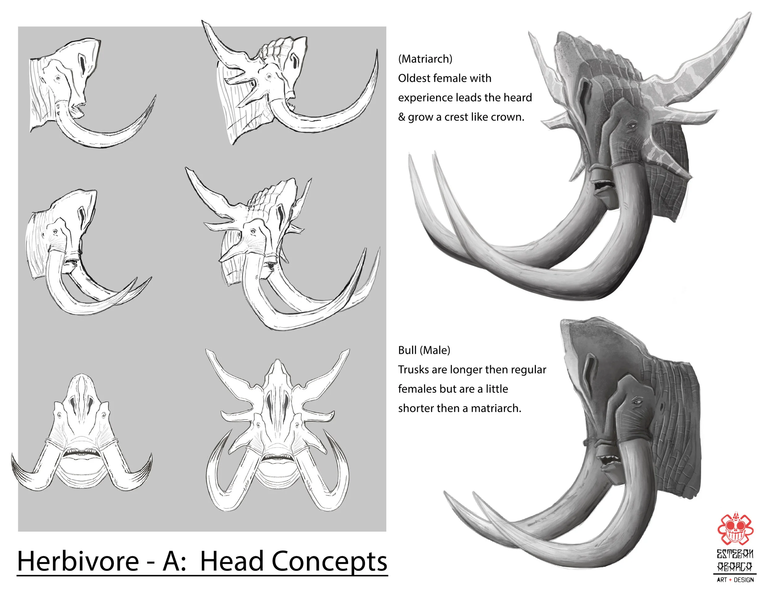Herbivore_A_Heads_Concept.jpg