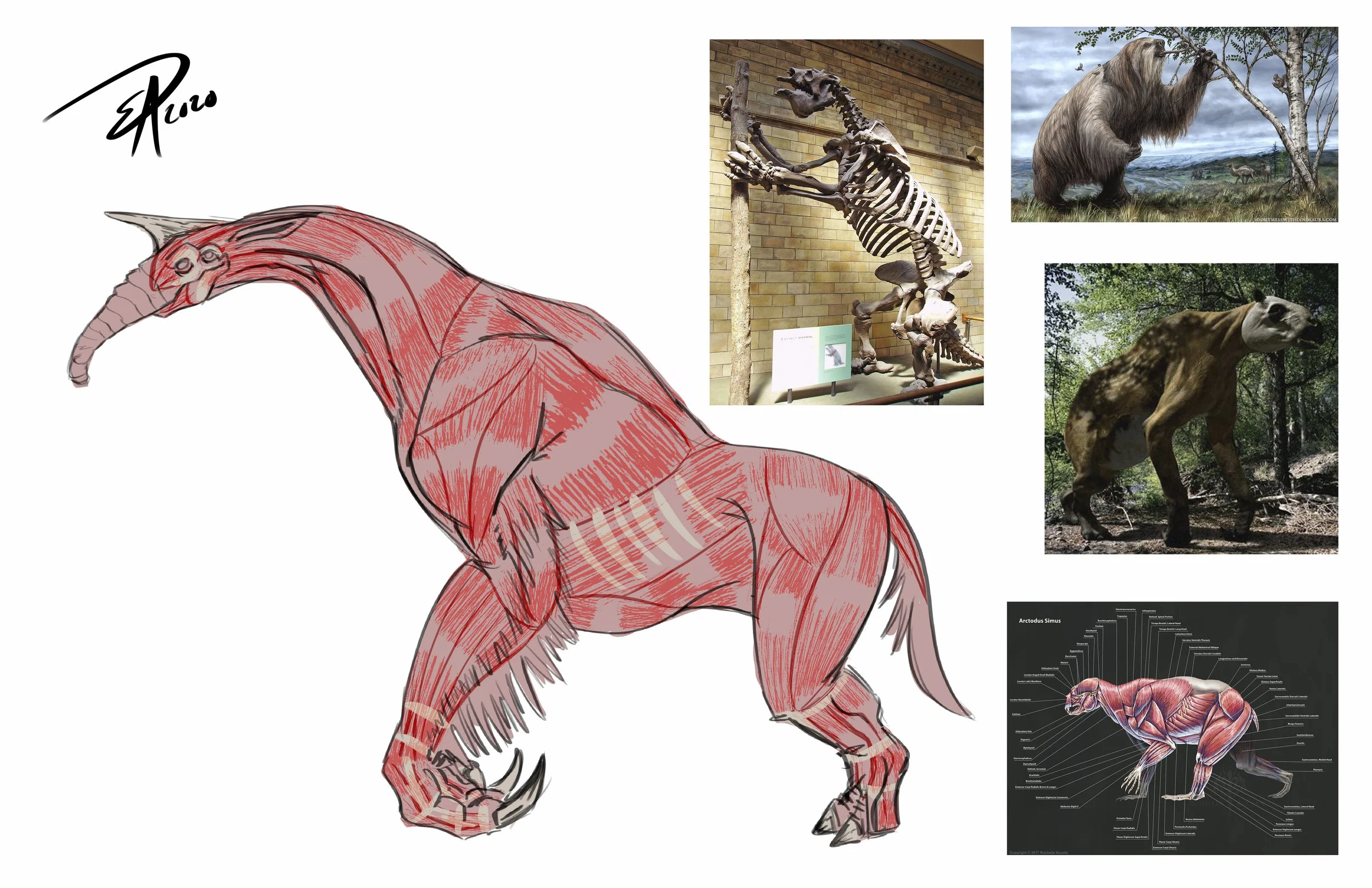 Left_Grabber_Anatomy.jpg