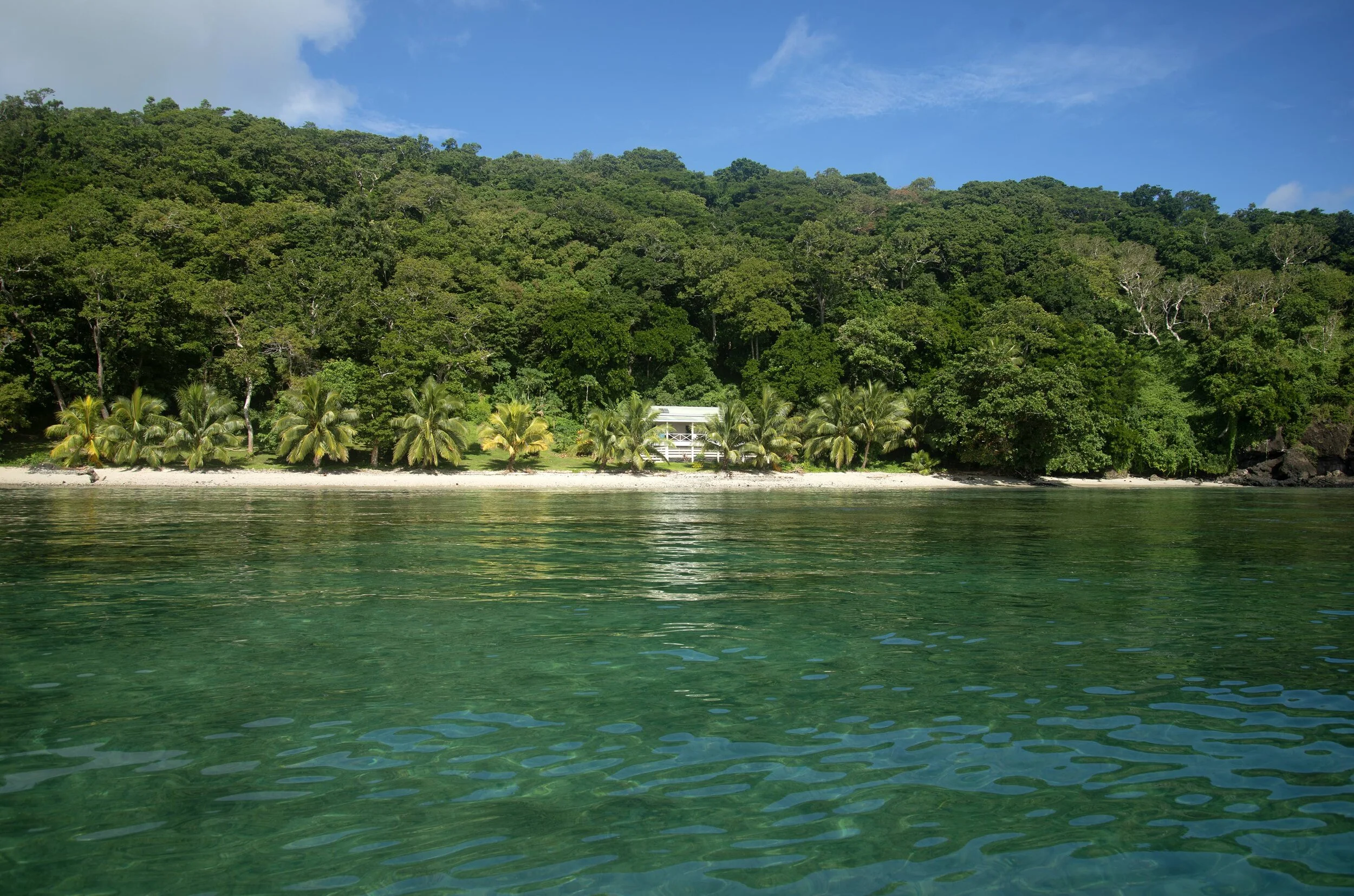 Resort Realty Fiji Fiji Real Estate For Sale Taveuni Vanua Levu Fiji Islands Houses 
