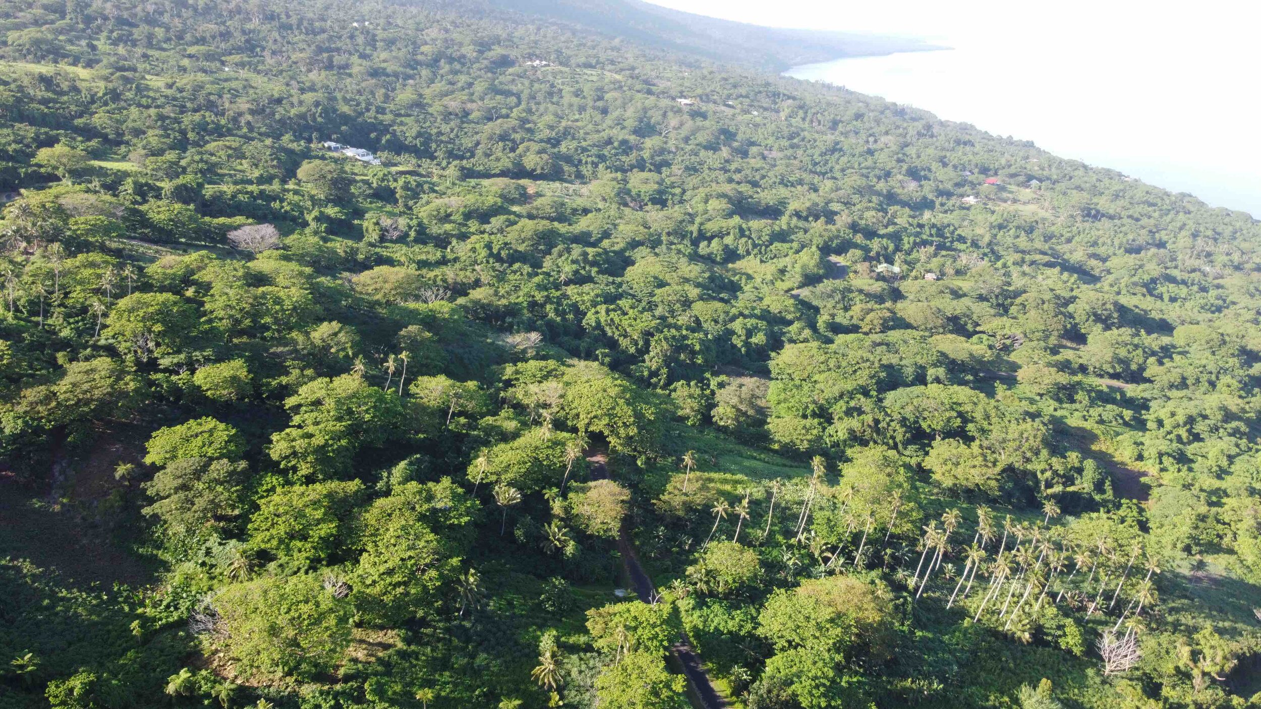 Resort Realty Fiji Fiji Real Estate For Sale Taveuni, Vanua Levu