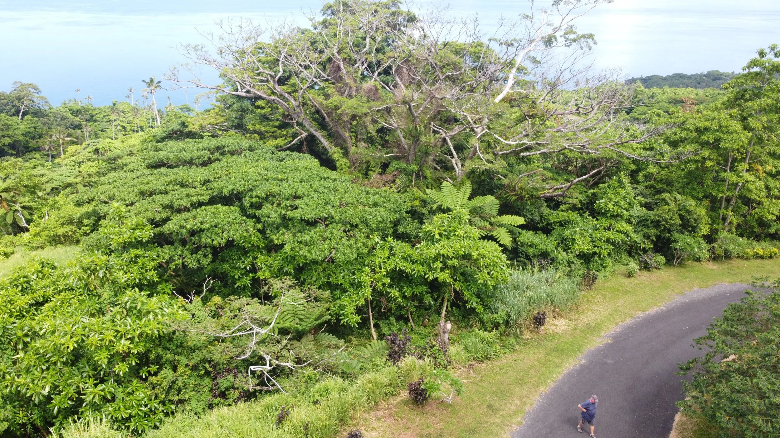 Resort Realty Fiji Fiji Real Estate For Sale Taveuni, Vanua Levu