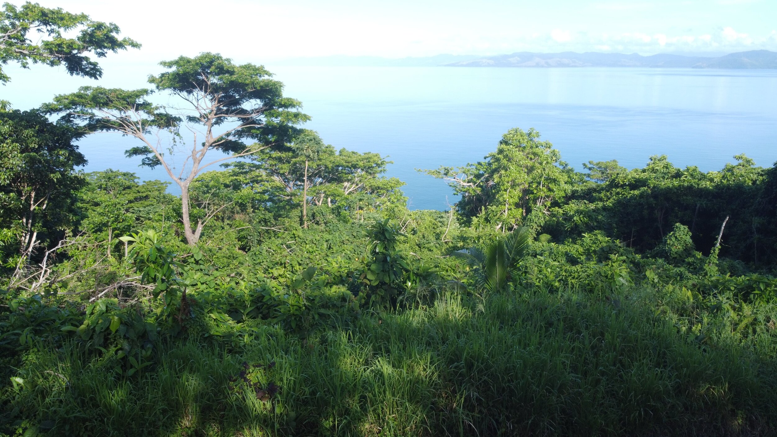 Resort Realty Fiji Fiji Real Estate For Sale Taveuni, Vanua Levu, Fiji Islands Houses