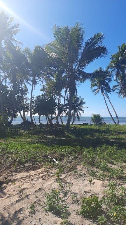 Lot 9 - east boundary towards beach at setback.jpg