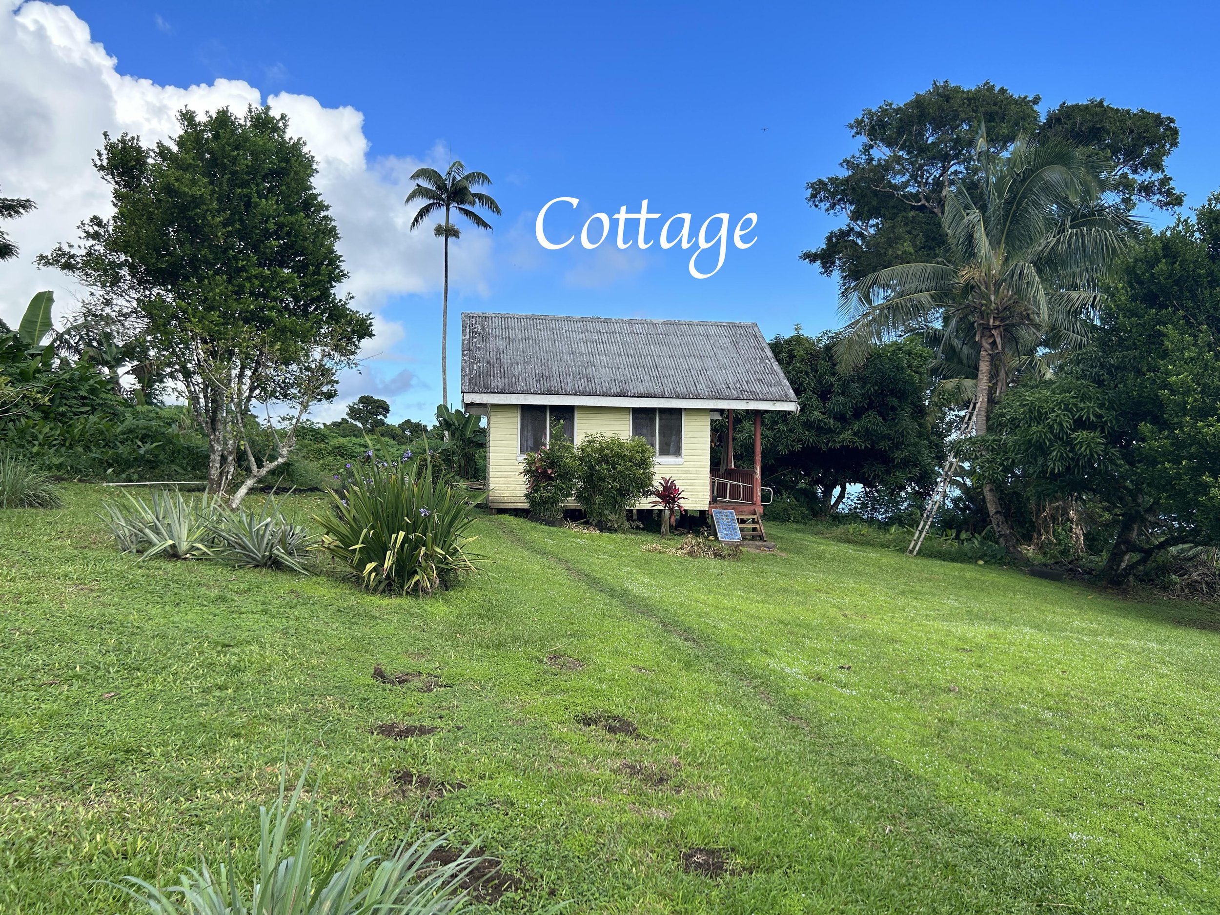 Cottage.jpg