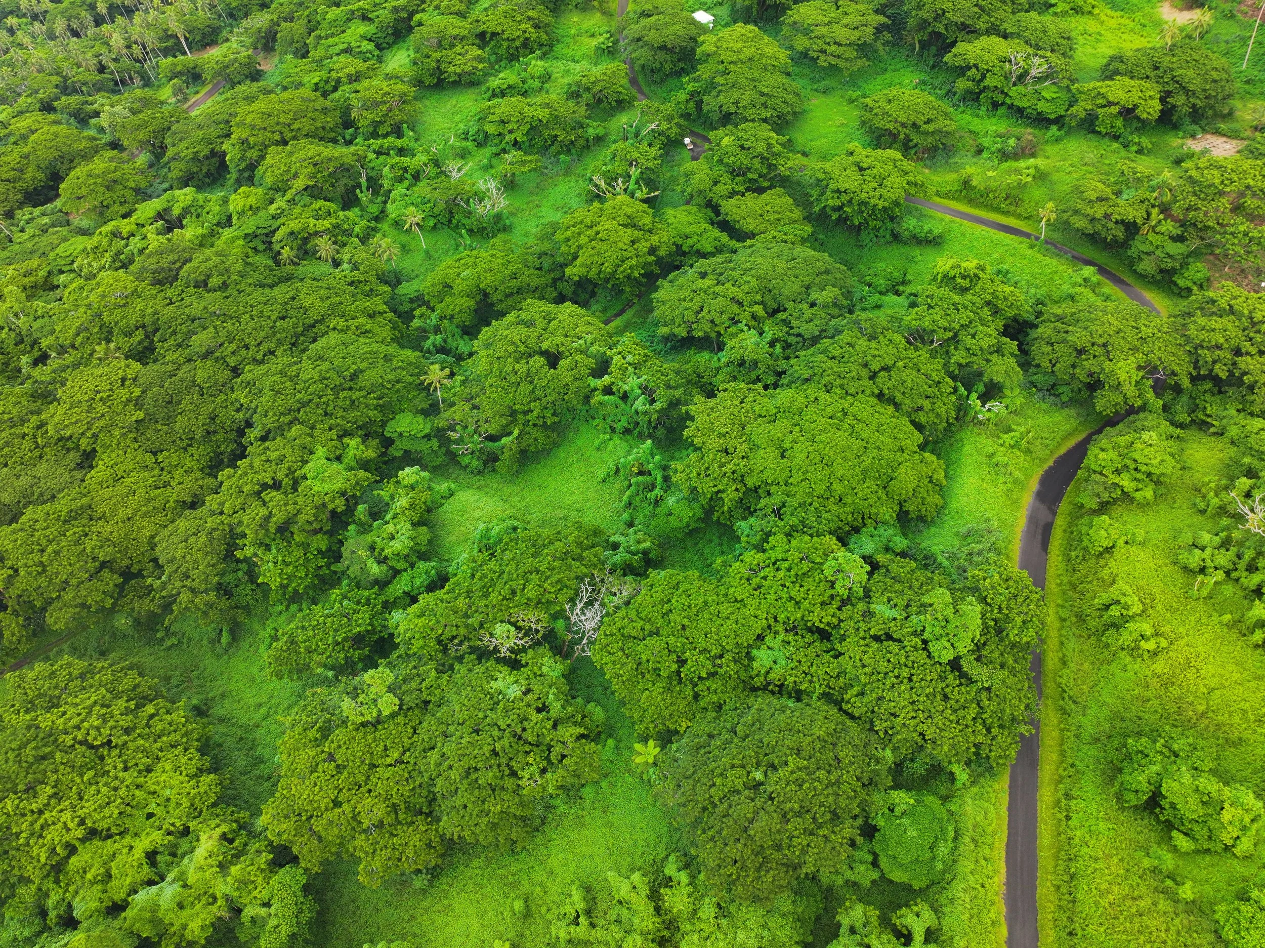 Unit 2A Lot 147 (2).jpg