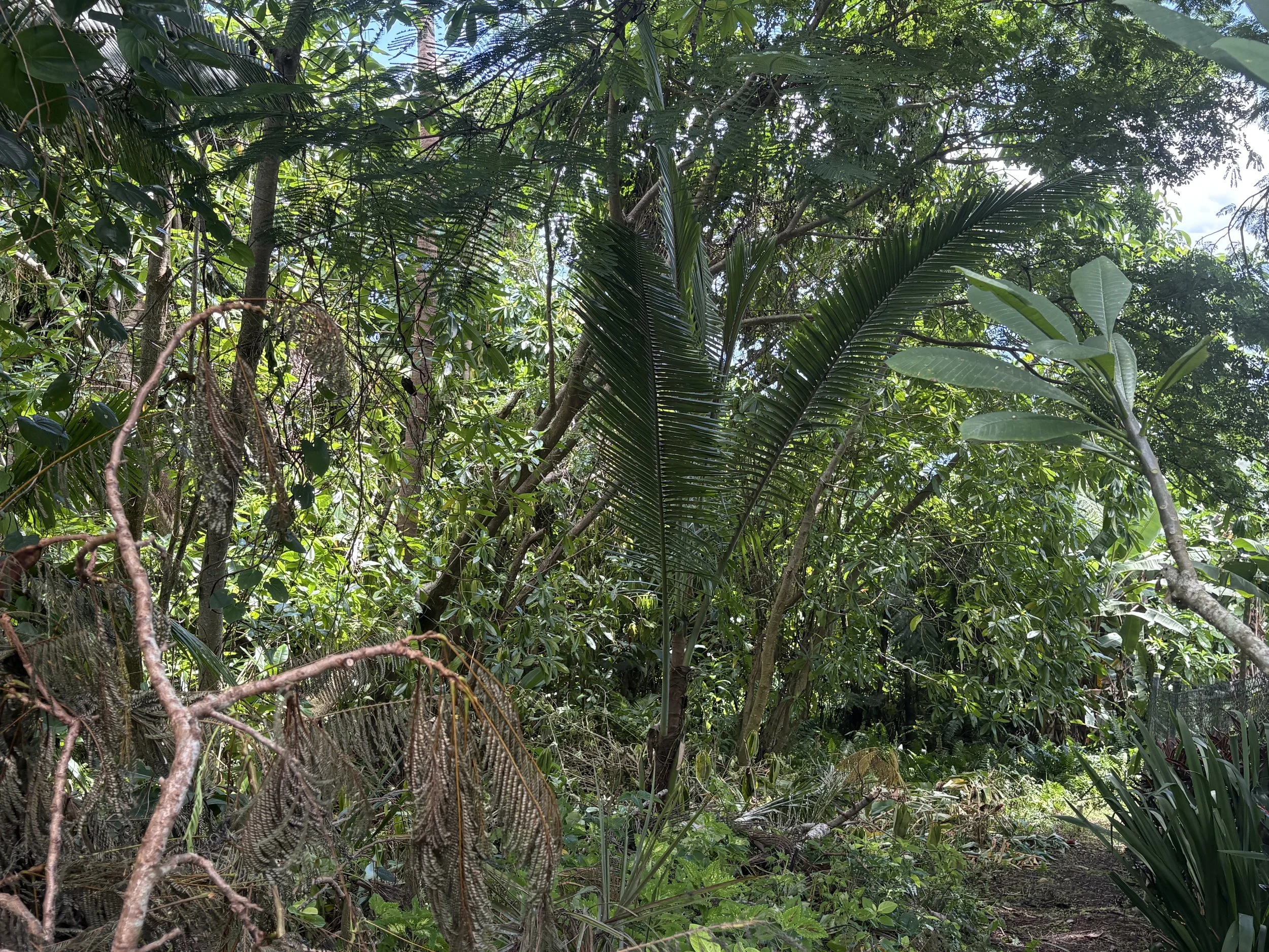 Unit 2A Lot 71 (1).jpeg