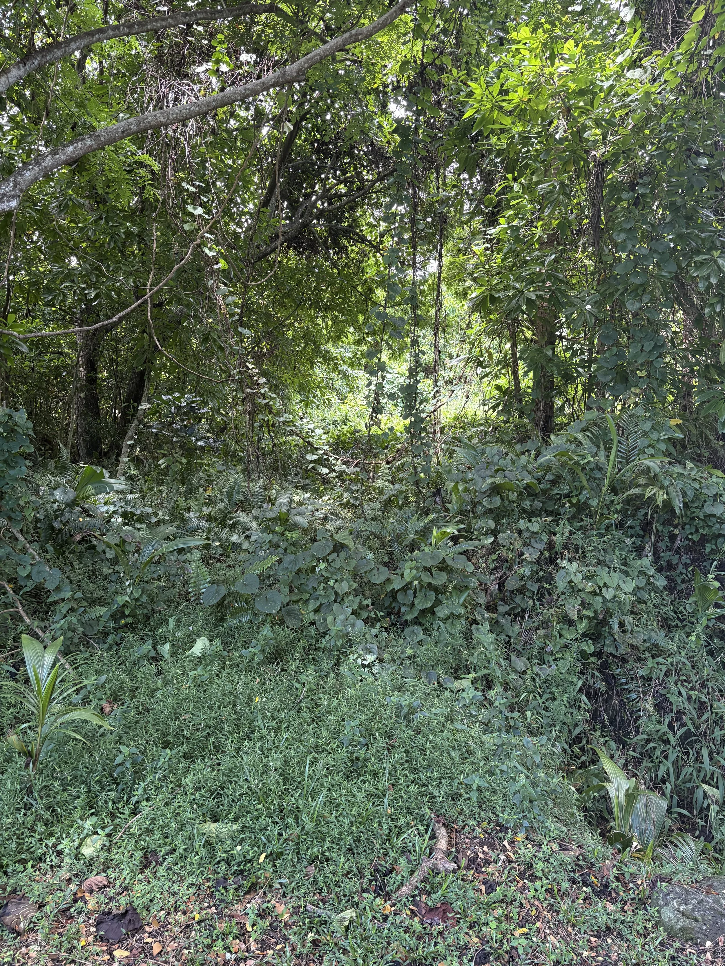 Unit 2A Lot 71 (2).jpeg