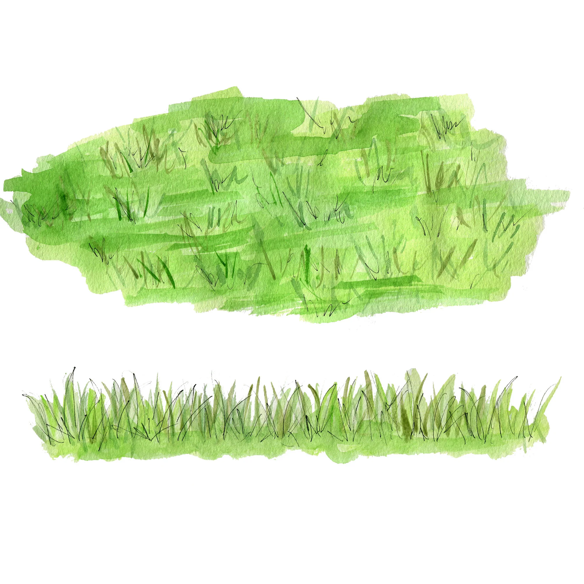 Grass Samples.jpg