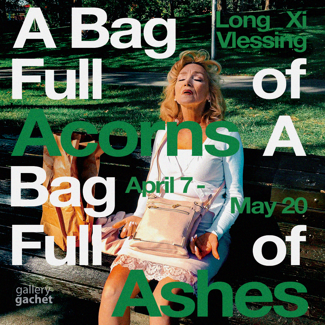 A Bag Full of Acorns, A Bag Full of Ashes