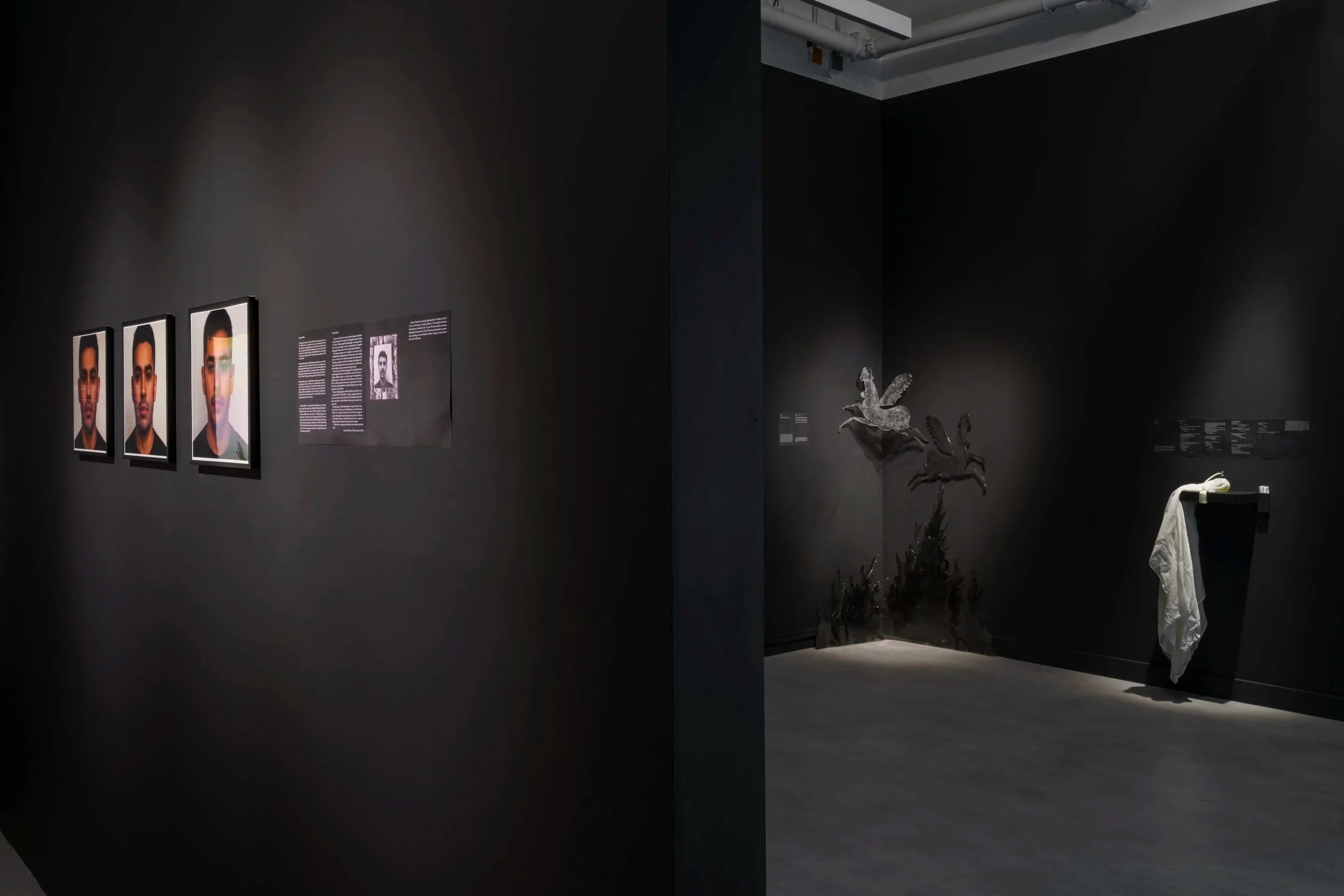  Installation view,  Vulnerable Pleasures , Gallery Gachet, Vancouver, 2025.  