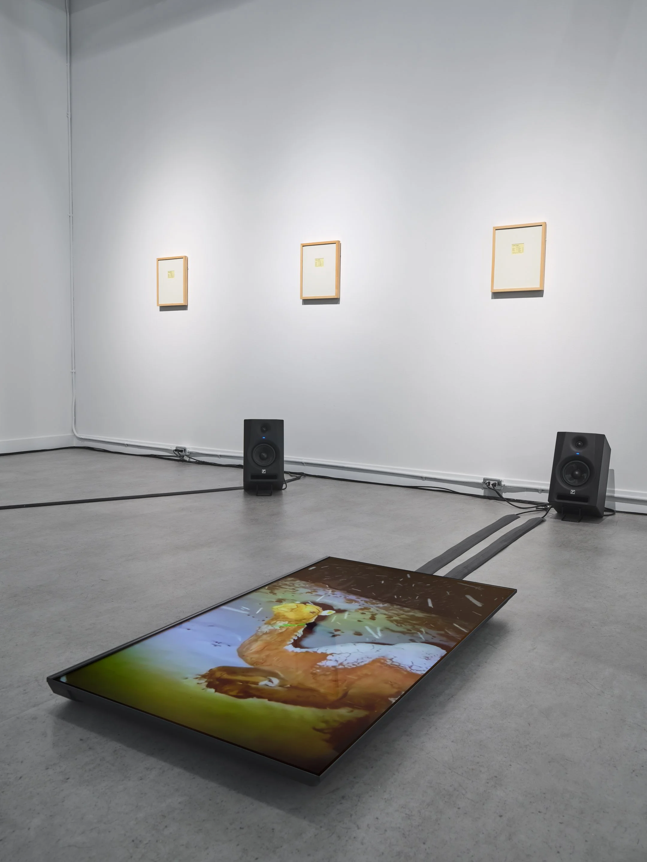  Dana Qaddah,  Hawqala , 2022, 8–channel audio, looping video, 45 minutes. 