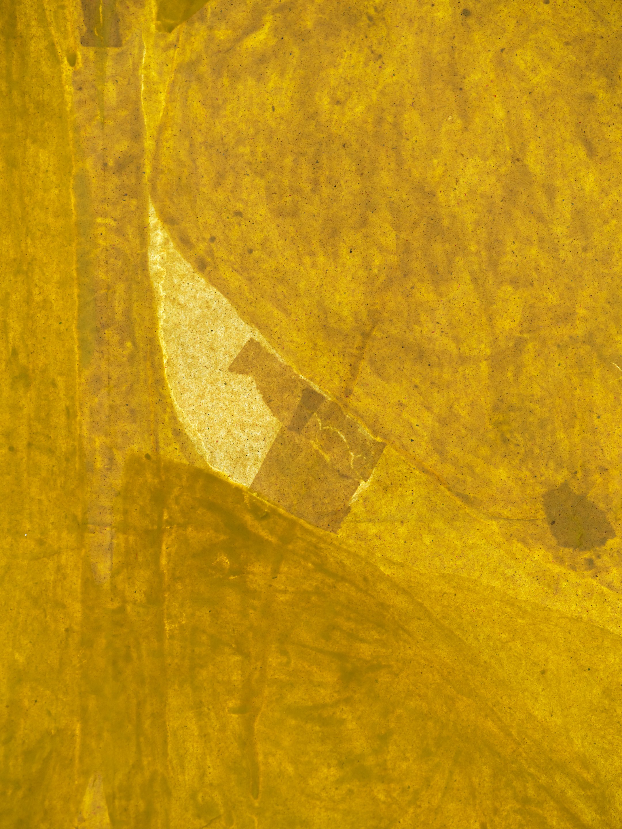  Christian Vistan,  Back  (detail), 2024–2026, water tempura and rice starch paste on manilla paper, wood. Christian would like to thank Steve Hubert and Kevin Romaniuk for their assistance in the production of of this work. 