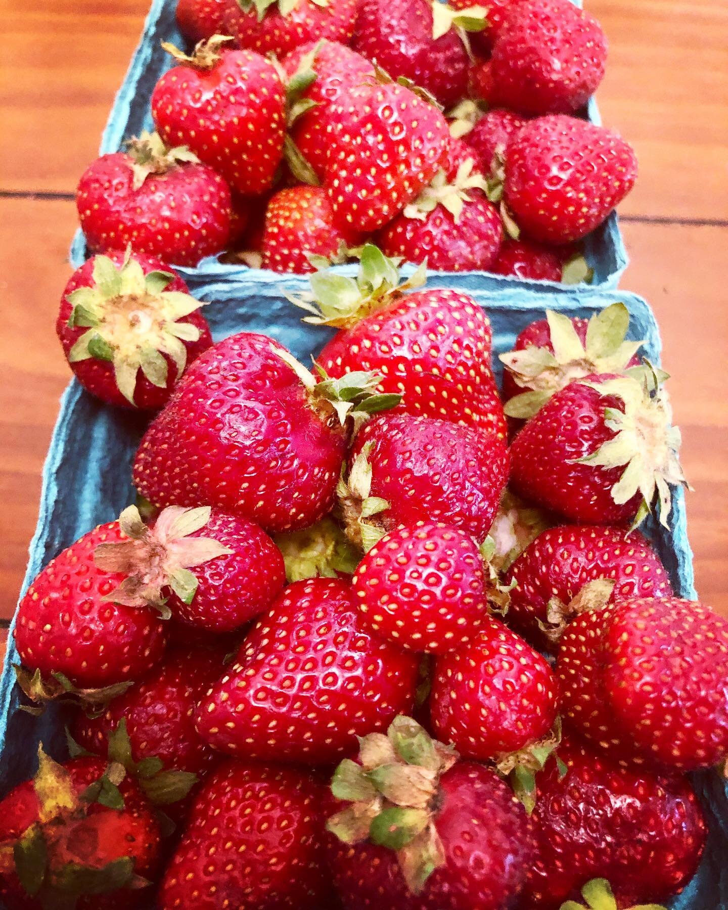 Local business spotlight: @frankslittlefarm 🍓🍓🍓

We love this urban farm! Grown with non-GMO seeds and without synthetic chemicals, their produce is of the highest quality and sustainably grown with heart!

PSA: I picked these juicy strawberries u