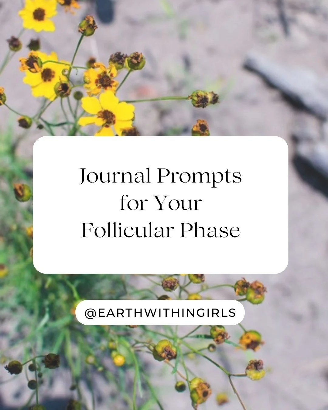 🌙 5 Journal Prompts for Your Follicular Phase

The follicular phase follows menstruation and invites renewal, curiosity, and gentle forward movement. As energy begins to rise, journaling can help you explore what&rsquo;s emerging and set intentions 