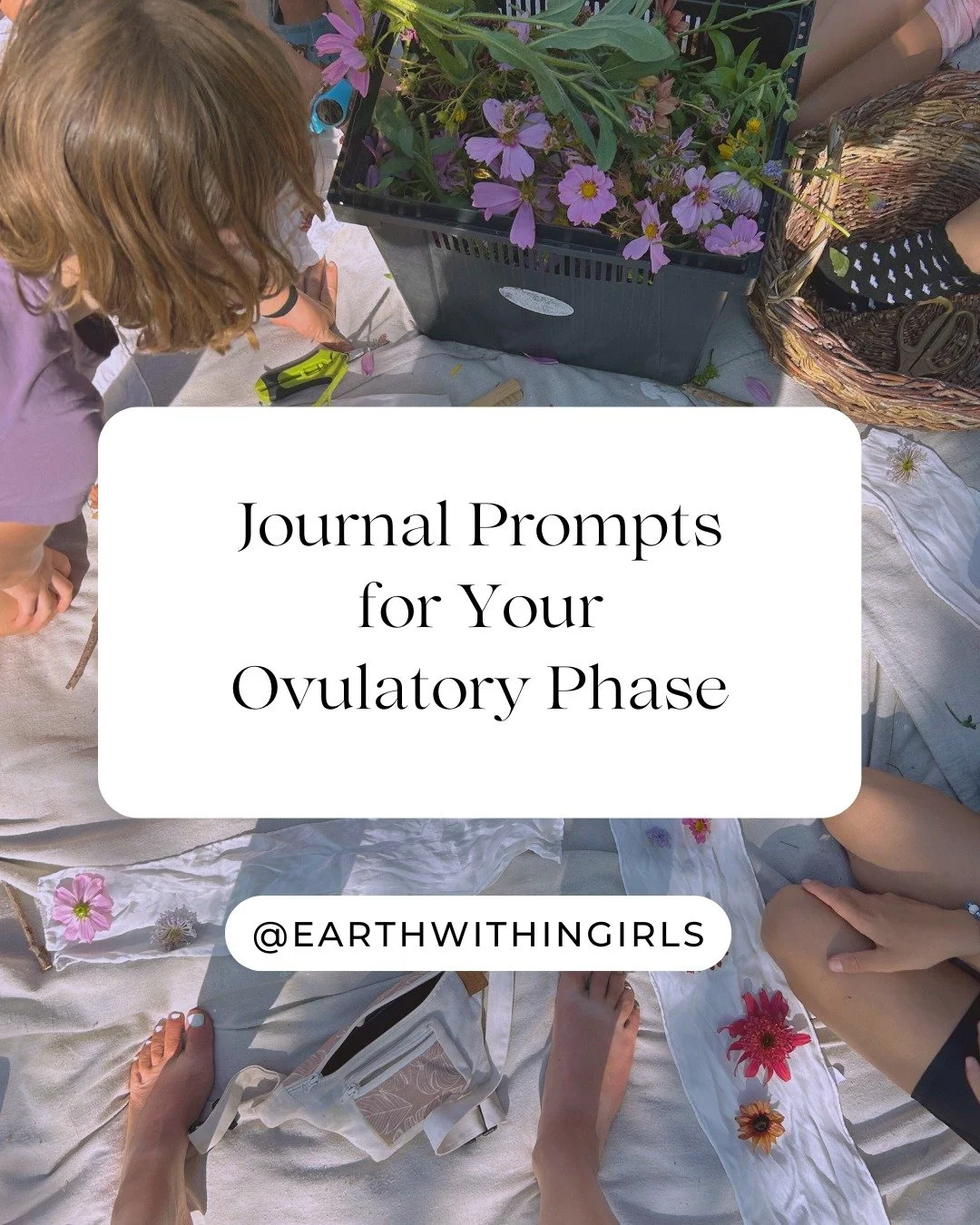 🌸 5 Journal Prompts for Your Ovulatory Phase

The ovulatory phase is a time of blossoming energy, communication, and connection, like the height of spring when everything in nature is in full bloom. Journaling now can help you harness this clarity a