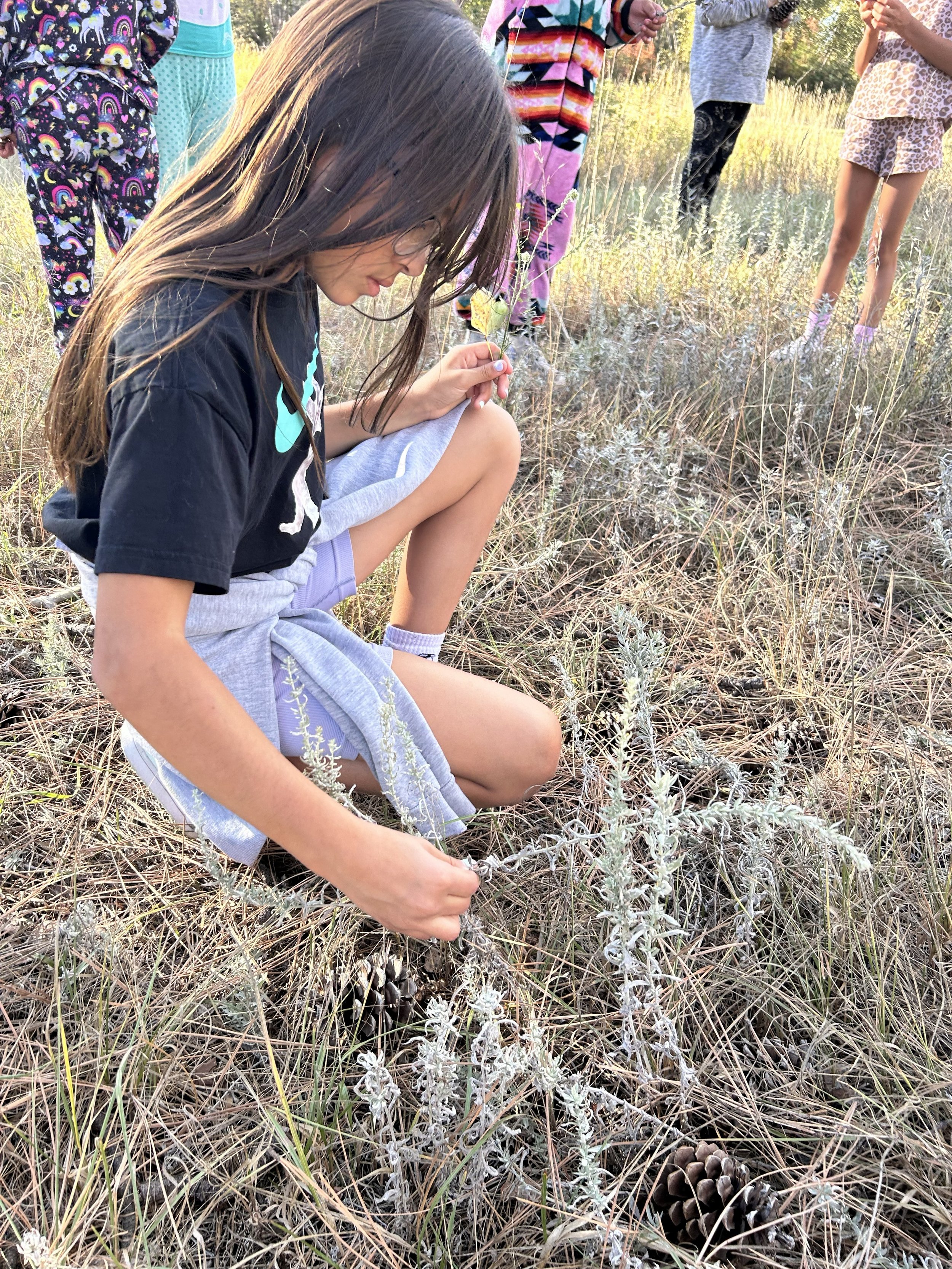 Arlee Plant Medicine Kit Camp