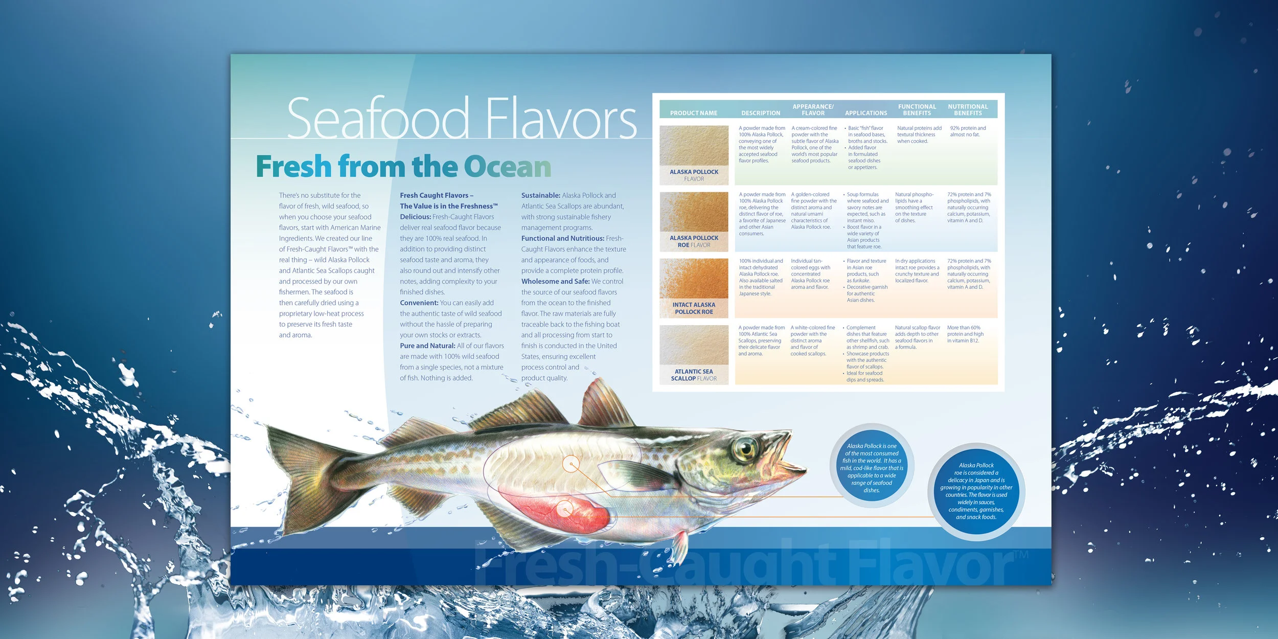 2018-PRINT-AMI-Broch2 copy.jpg