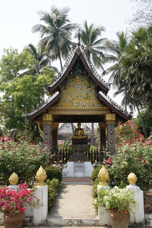 surprising lao and more…