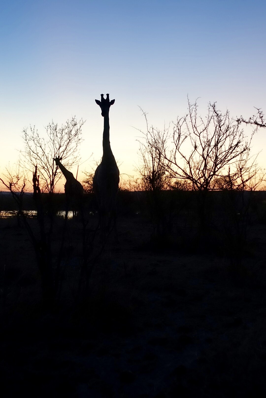 live the colors of Africa