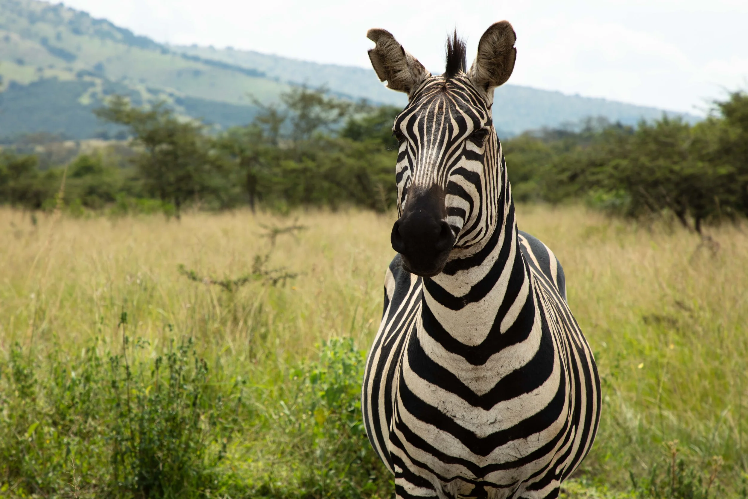 Rwanda