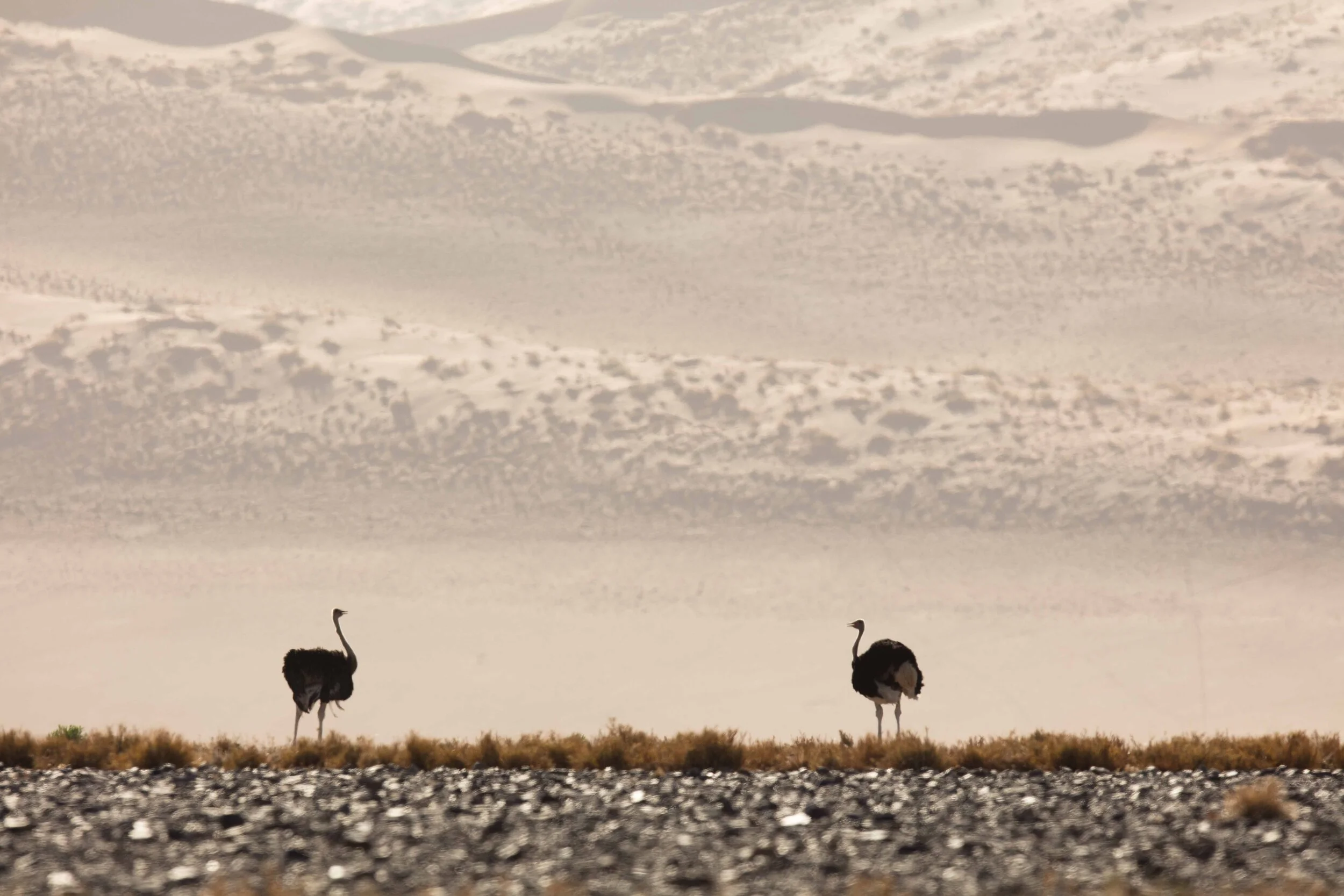 Namibia